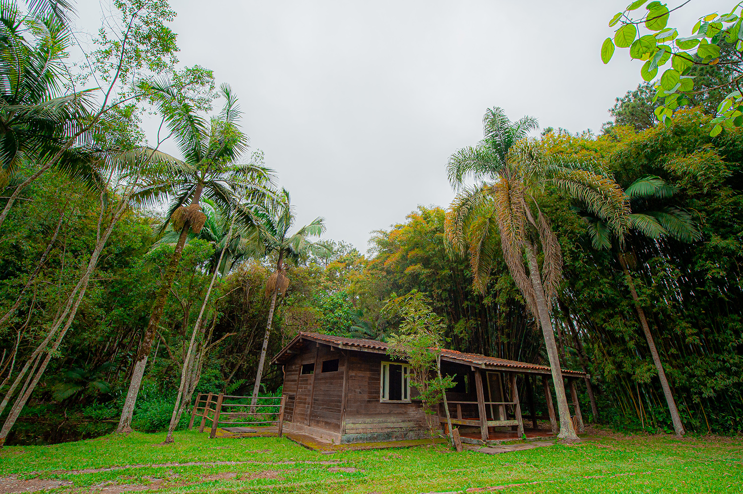 Parque Natural Municipal Varginha - Polo de Ecoturismo de São Paulo