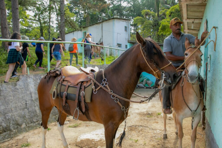 Oito passeios imperdíveis para o mês de férias no Polo de Ecoturismo de São Paulo