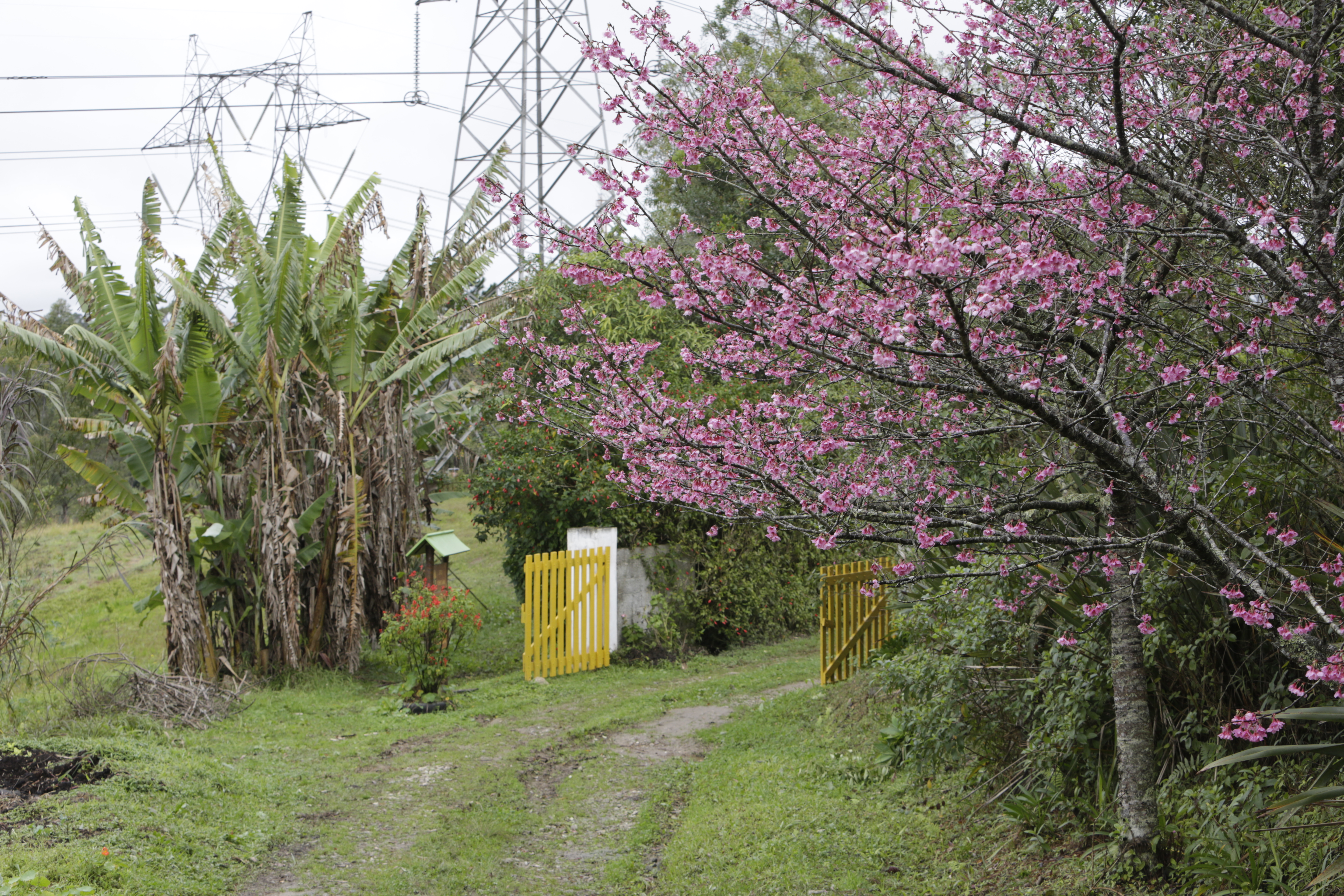 Ecoturismo Sitio Yoneyama 180723 JoseCordeiro 0122
