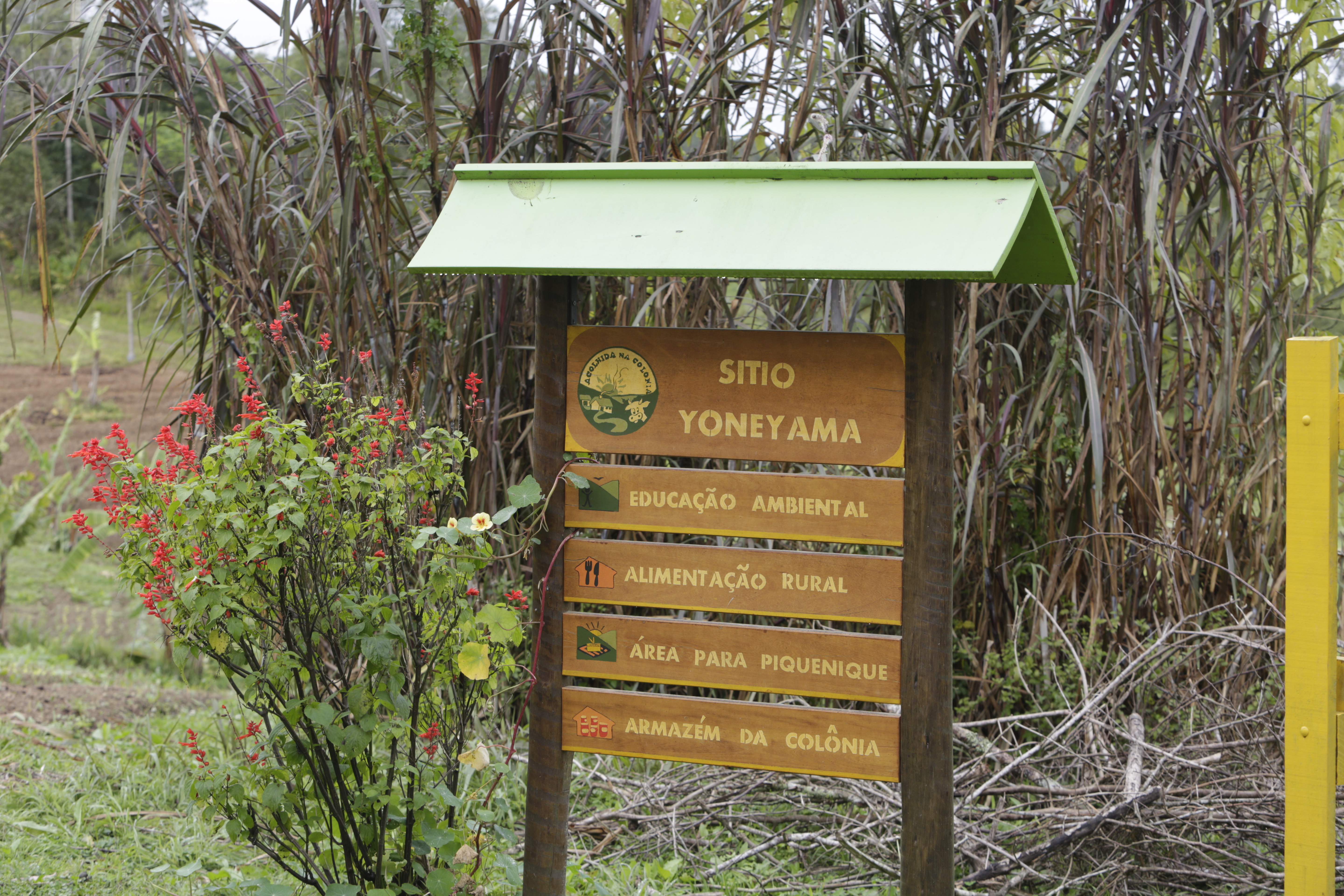 Ecoturismo Sitio Yoneyama 180723 JoseCordeiro 0132
