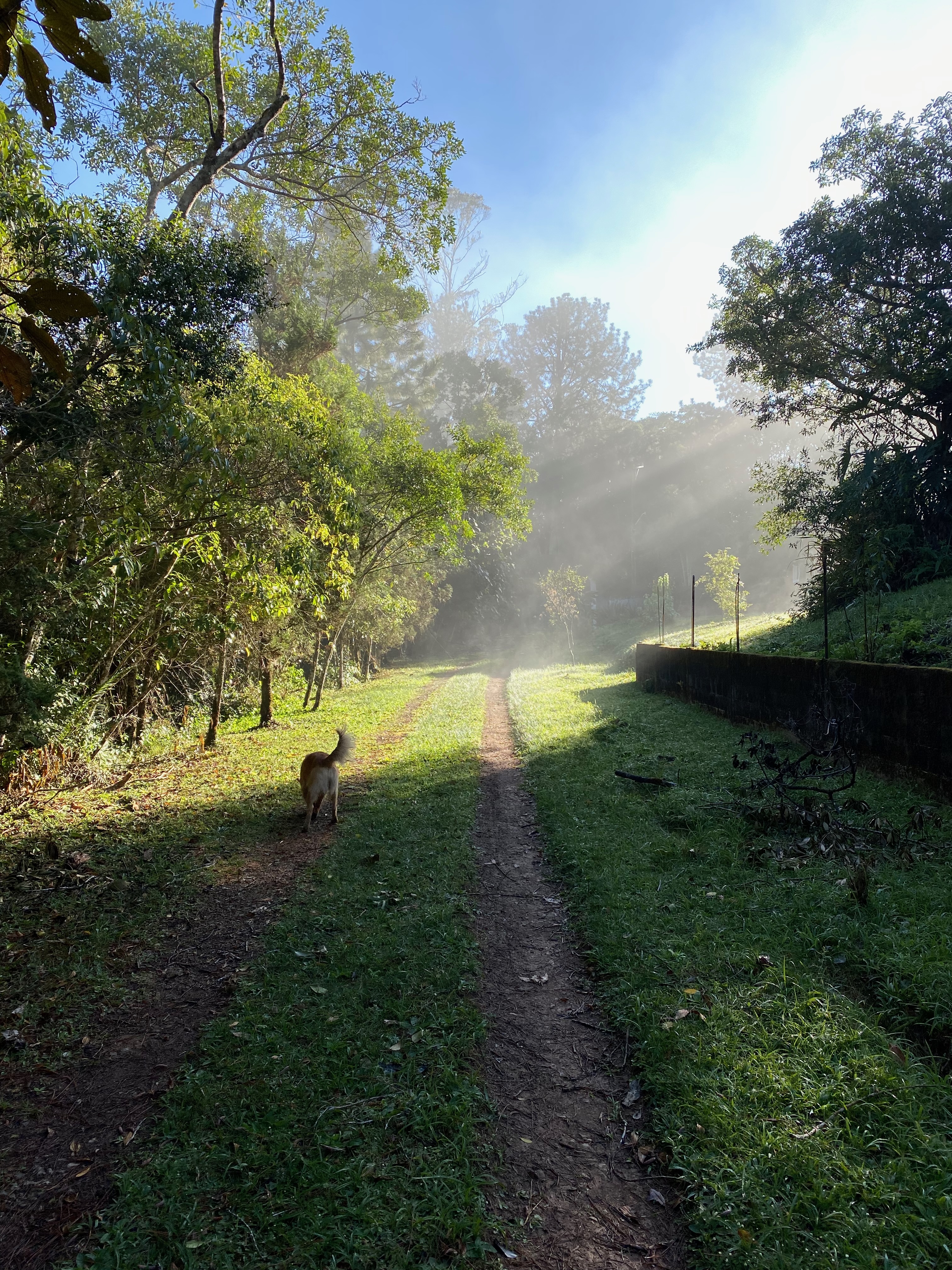 Sítio Neblina Sítio Neblina