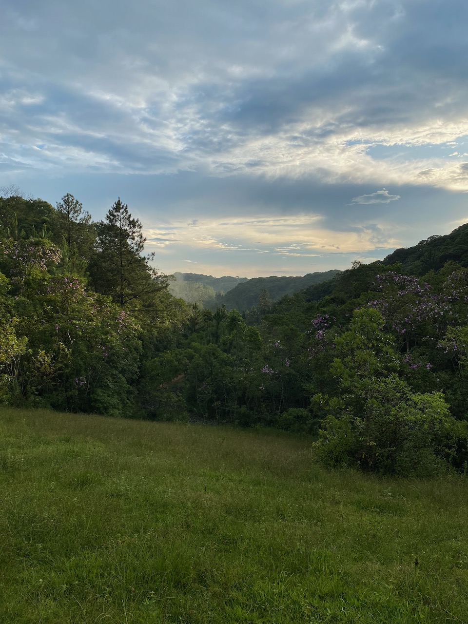 Sítio Neblina Sítio Neblina