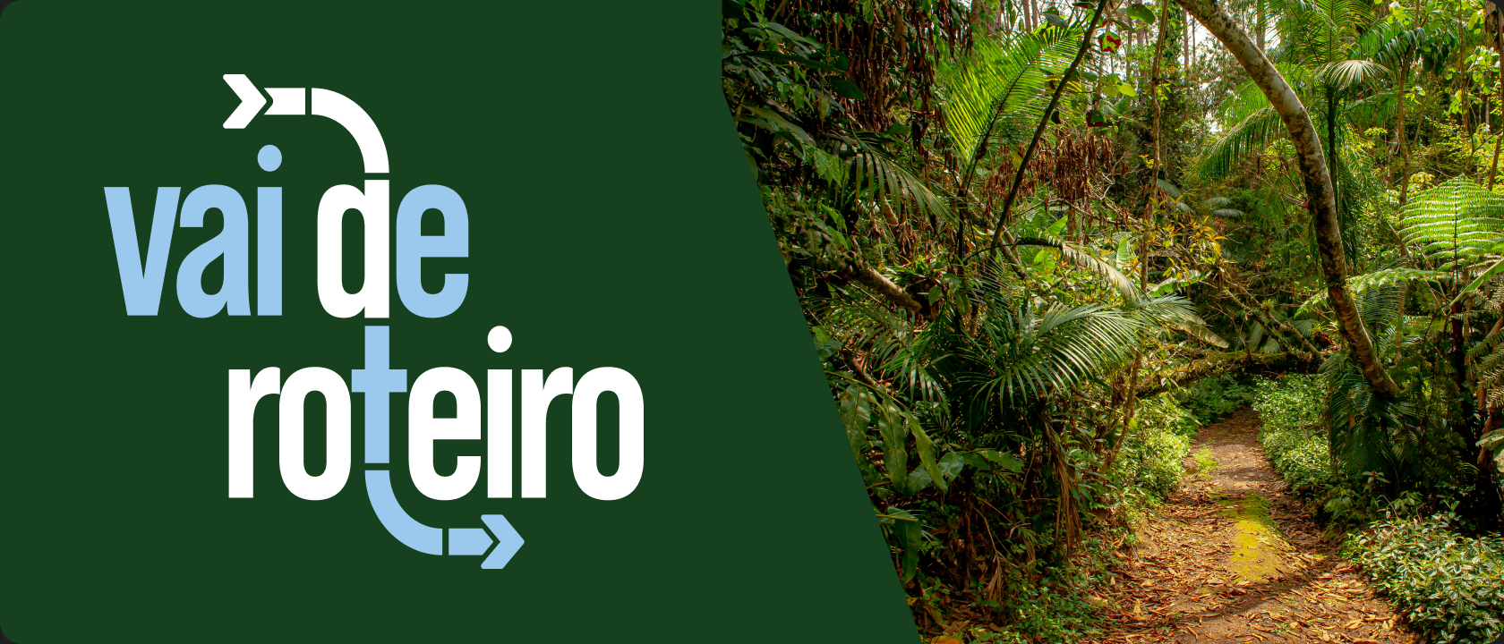 Banners Vai de Roteiro Polo 3