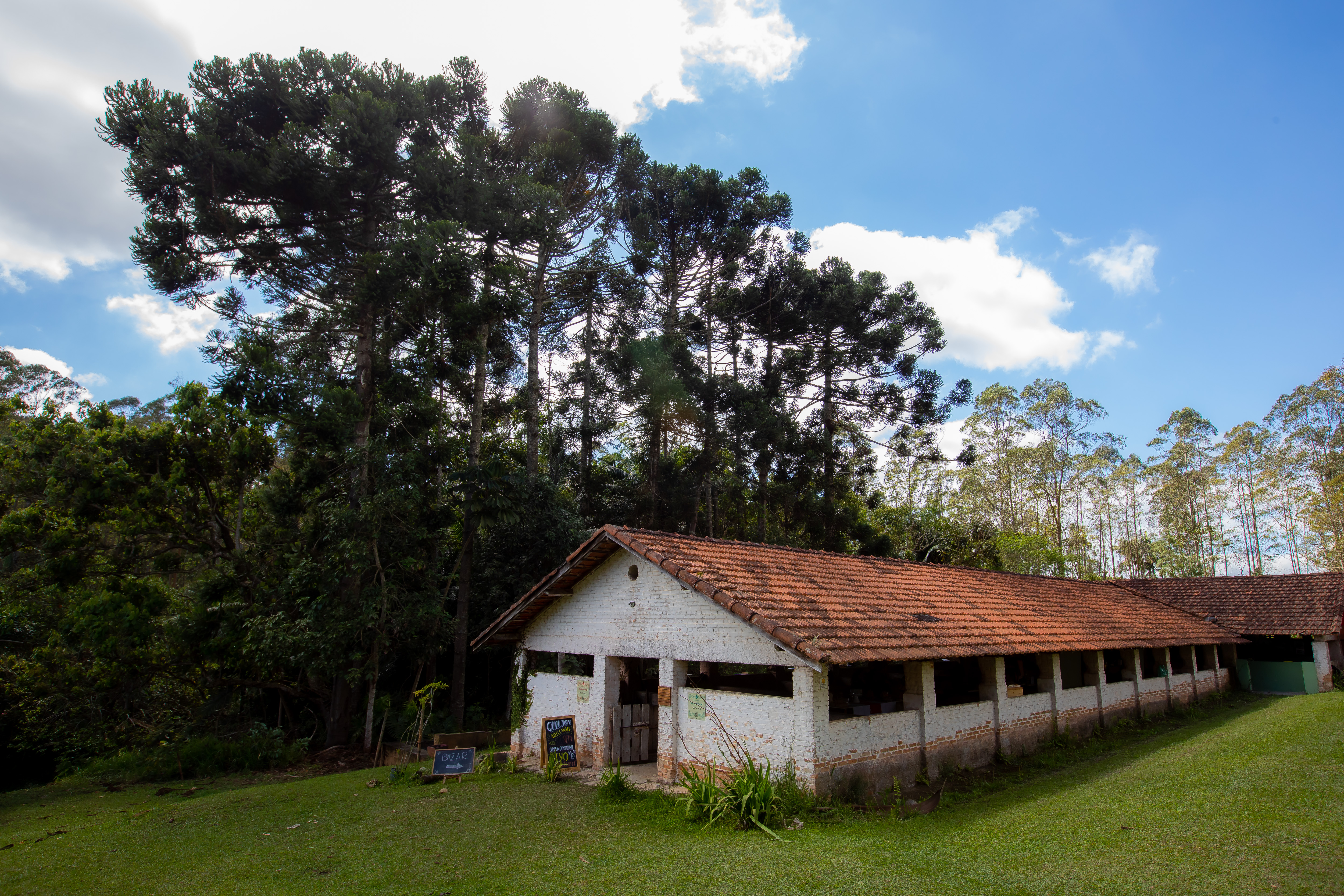 Fazenda Planta Feliz 24.09.22 Foto Daniel Deak 0013