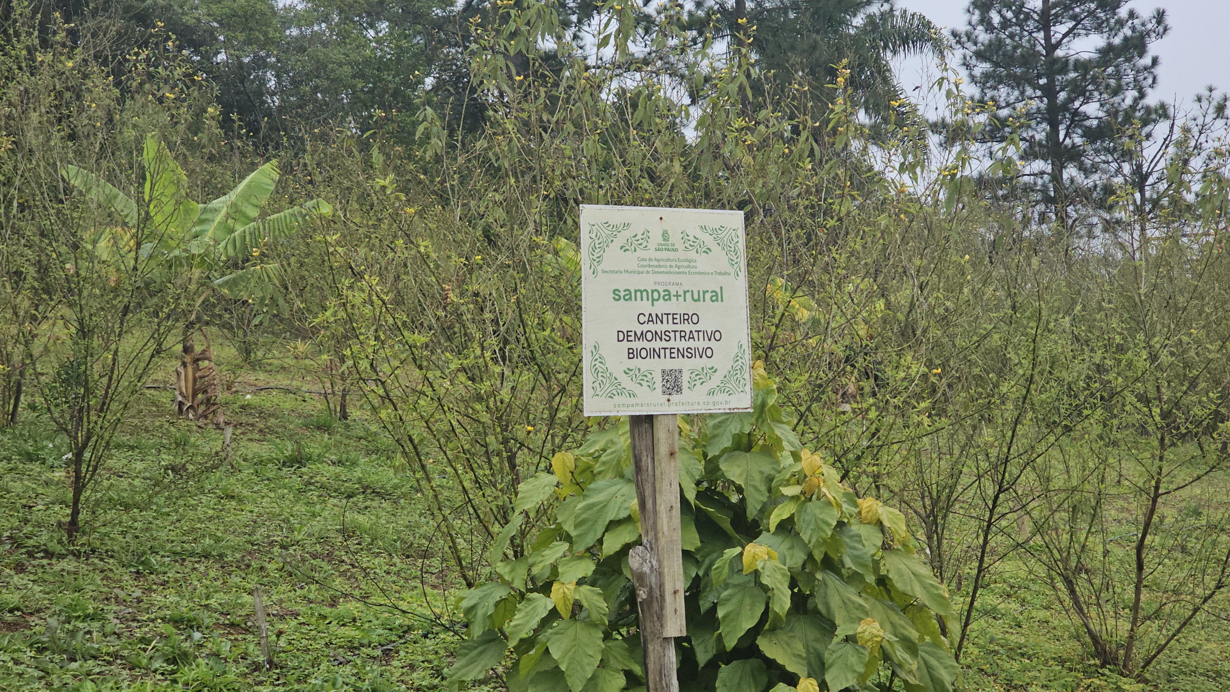 20250725 105423