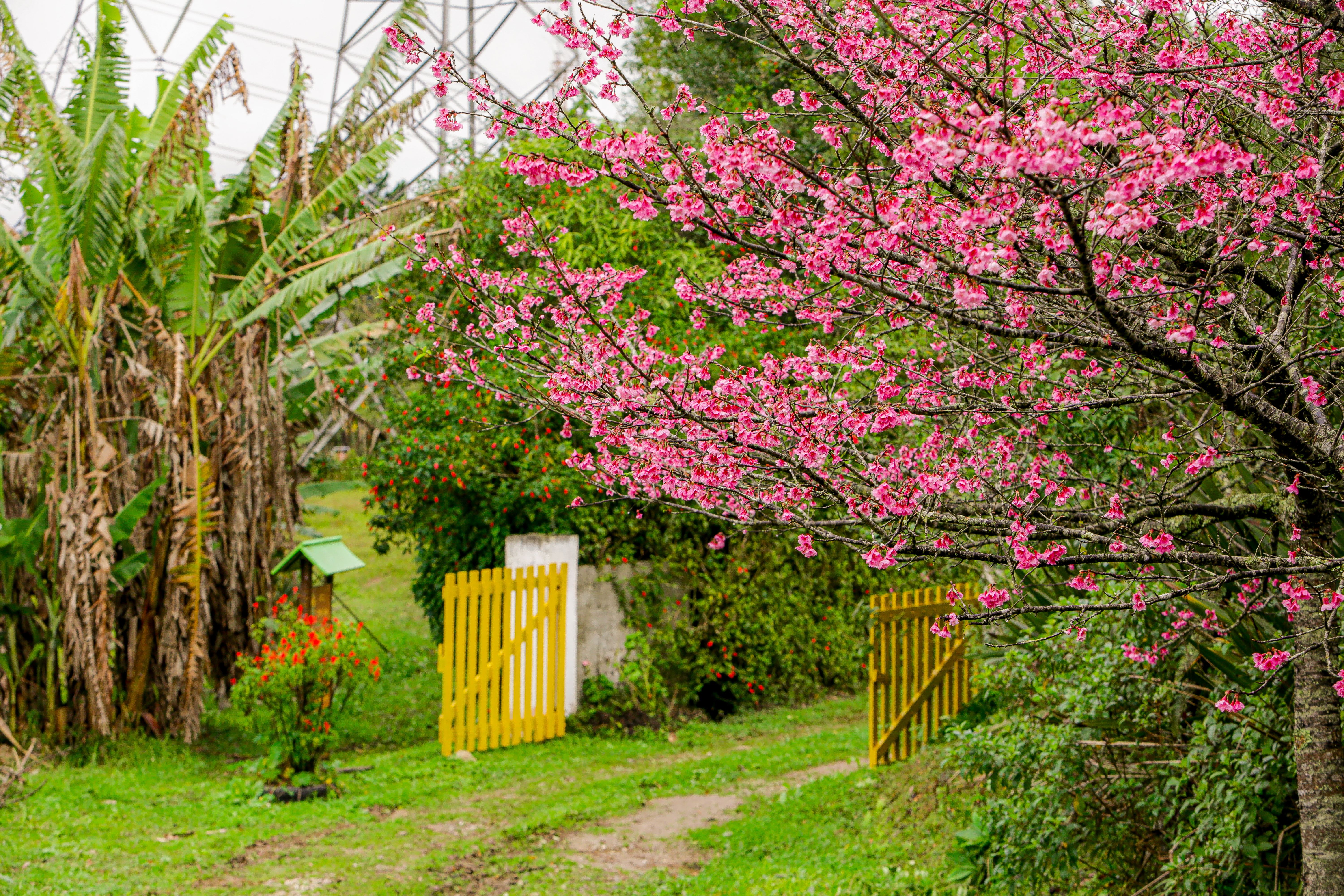 Ecoturismo Sitio Yoneyama 180723 JoseCordeiro 0123