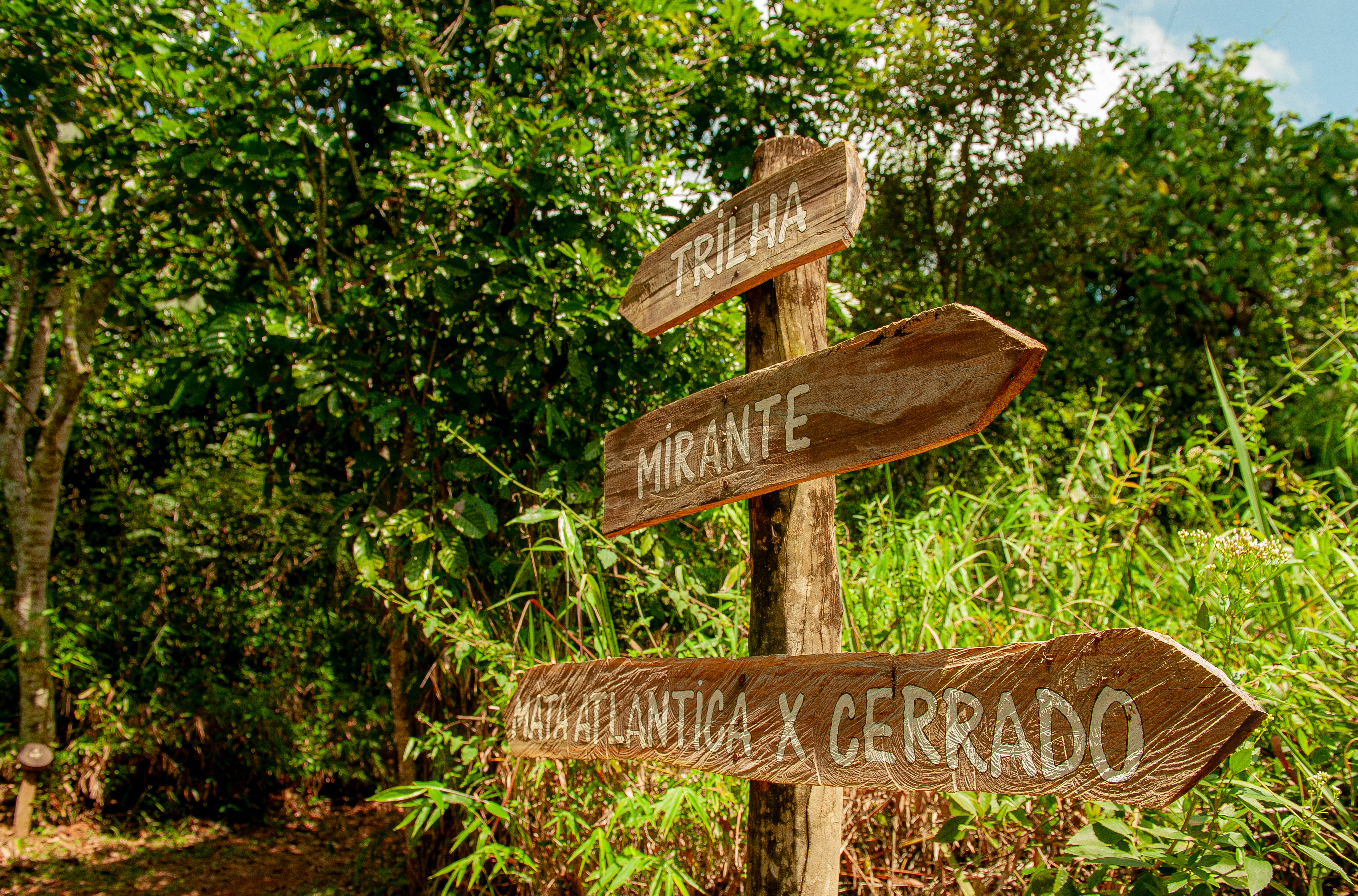 PNM Jaceguava Veja 120324 Foto DanielDeak 0018