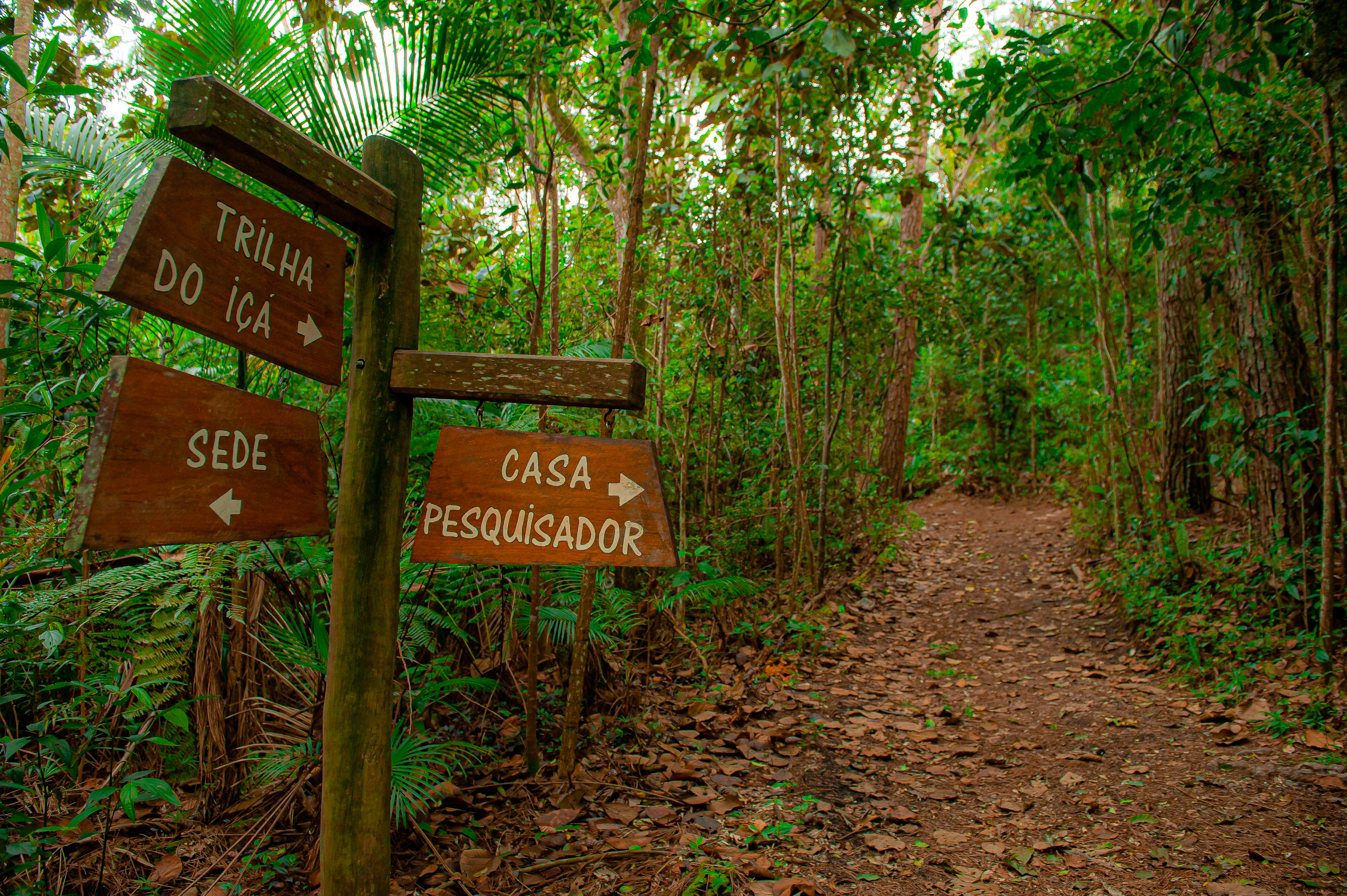 Parques Munic. Parelheiros 17.10.22 Foto Daniel Deak 1769