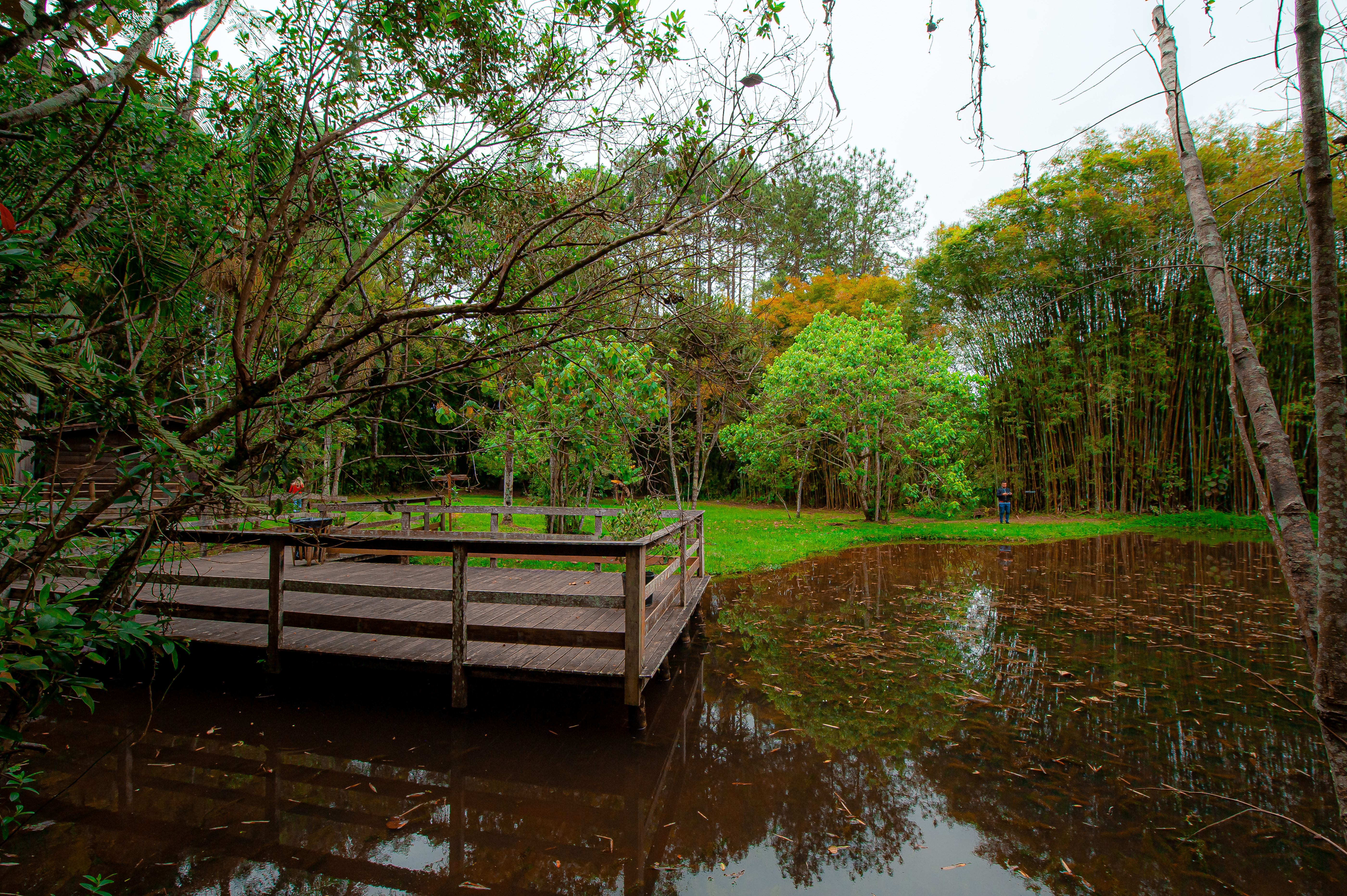 Parques Munic. Parelheiros 17.10.22 Foto Daniel Deak 1844