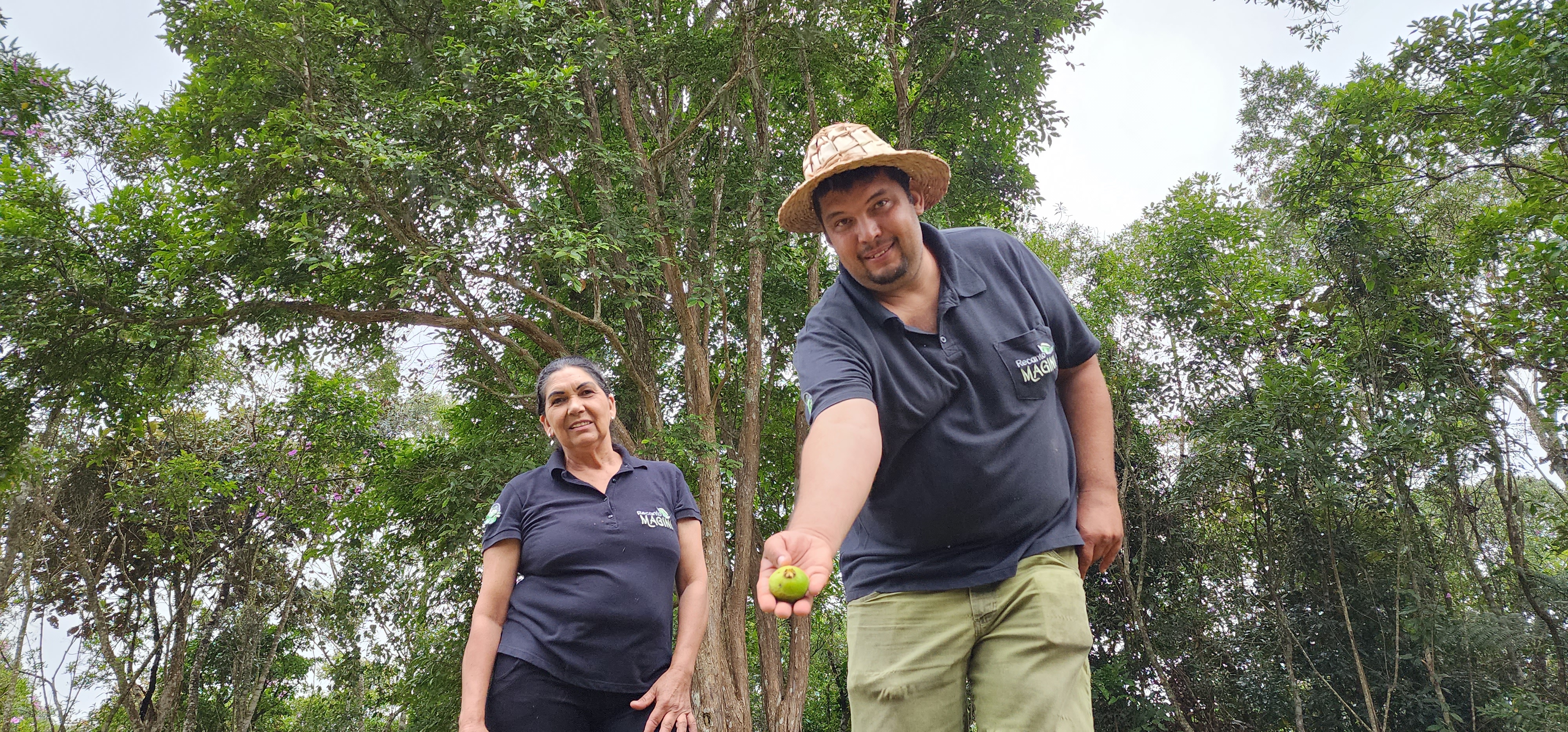 Recanto Magini Walley Waetge 36