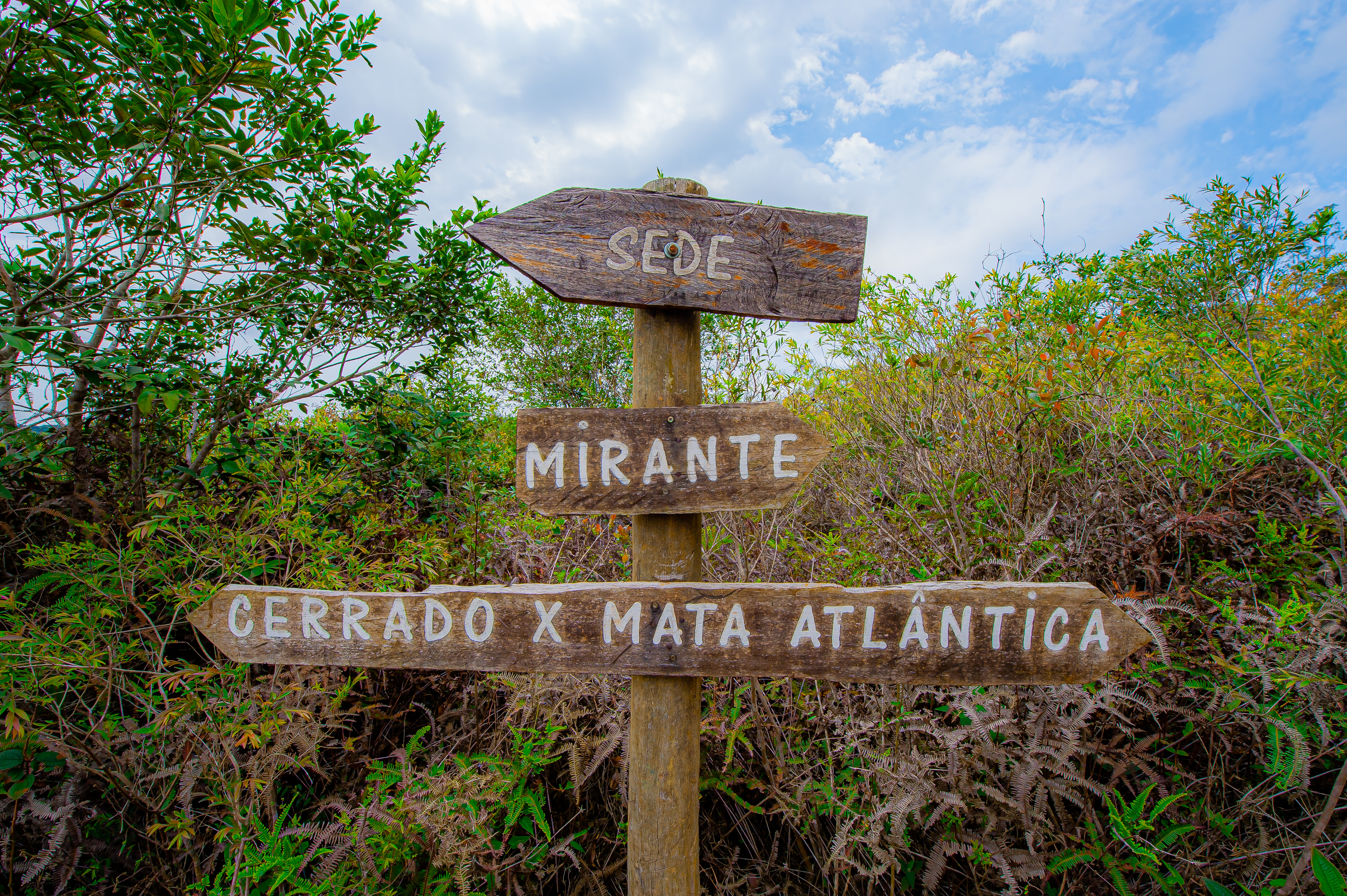 Parques Munic. Parelheiros 17.10.22 Foto Daniel Deak 0072