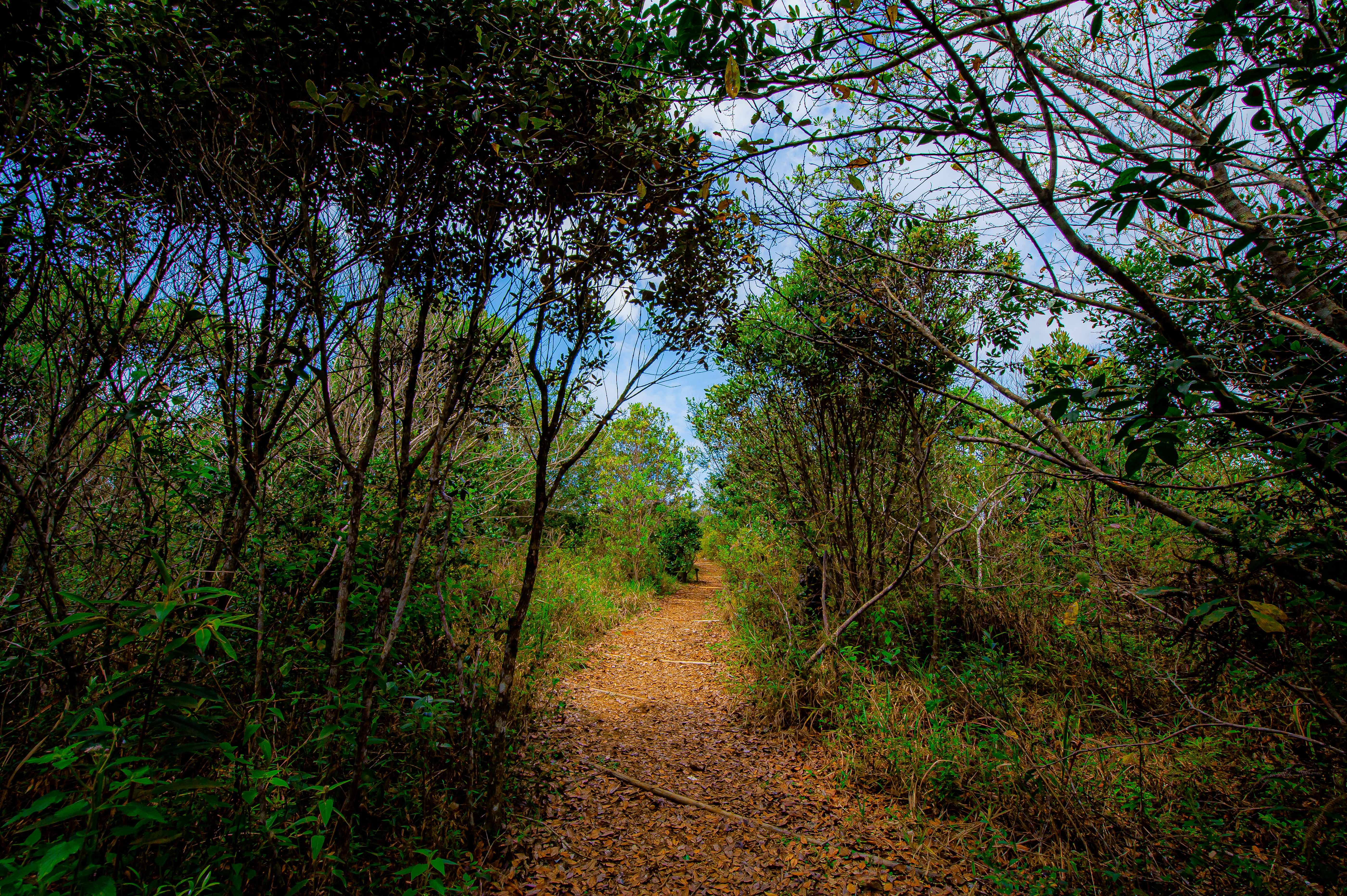Parques Munic. Parelheiros 17.10.22 Foto Daniel Deak 0121