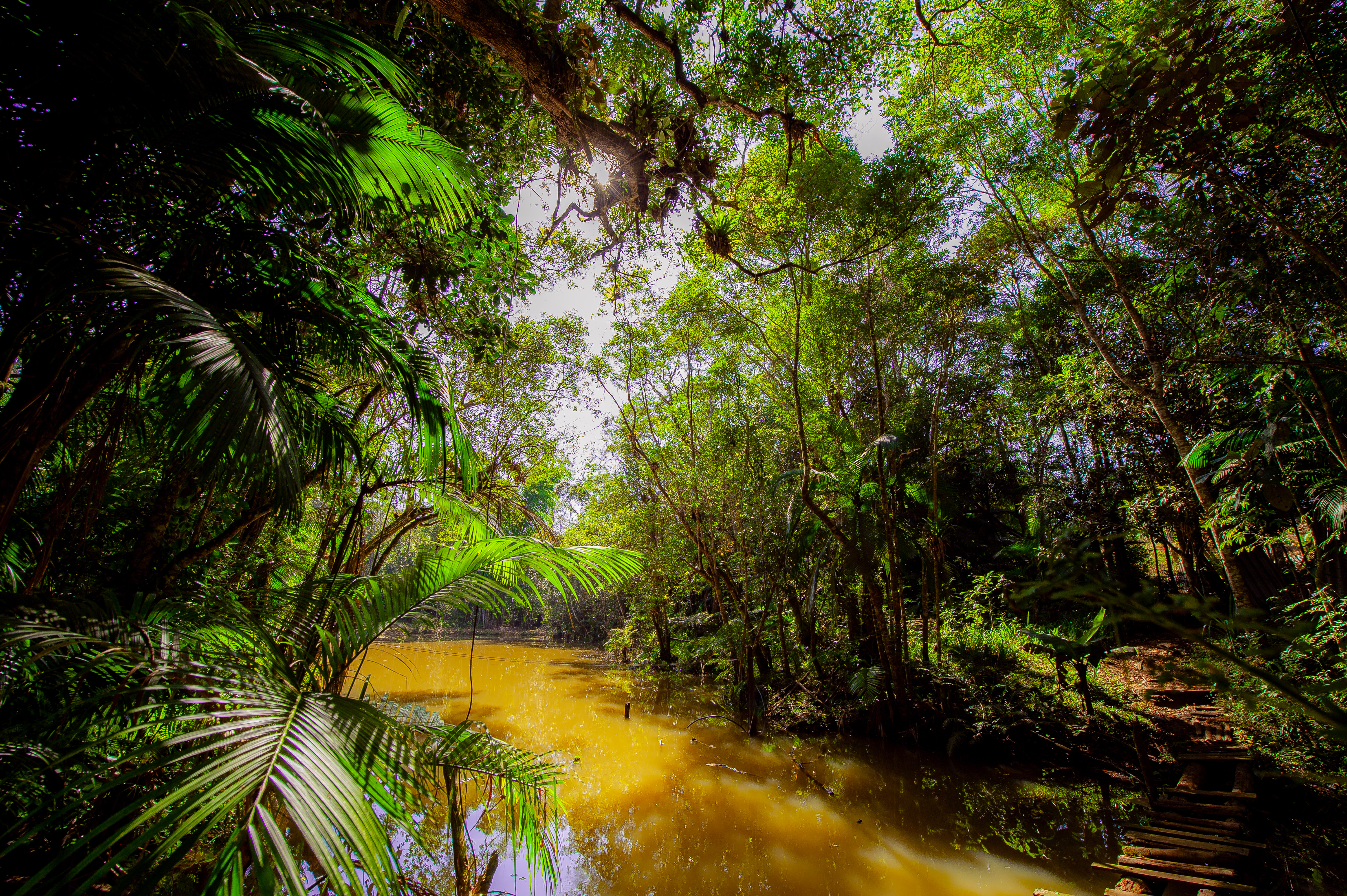 Aldeia Mbya 050623 Foto Daniel Deak 0168