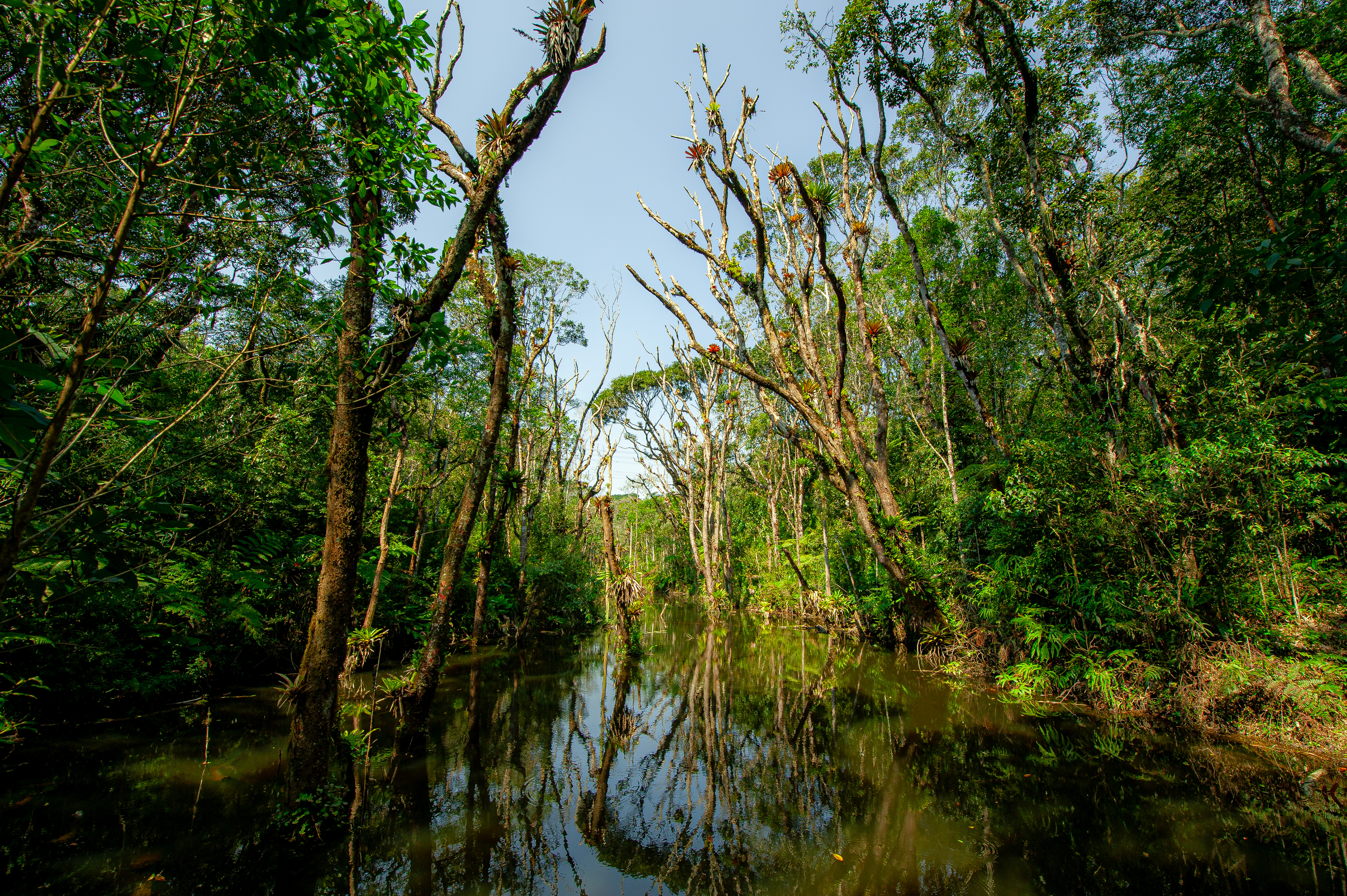 Campo.Verde 24.08.23 fotos.Daniel.Deak 0331