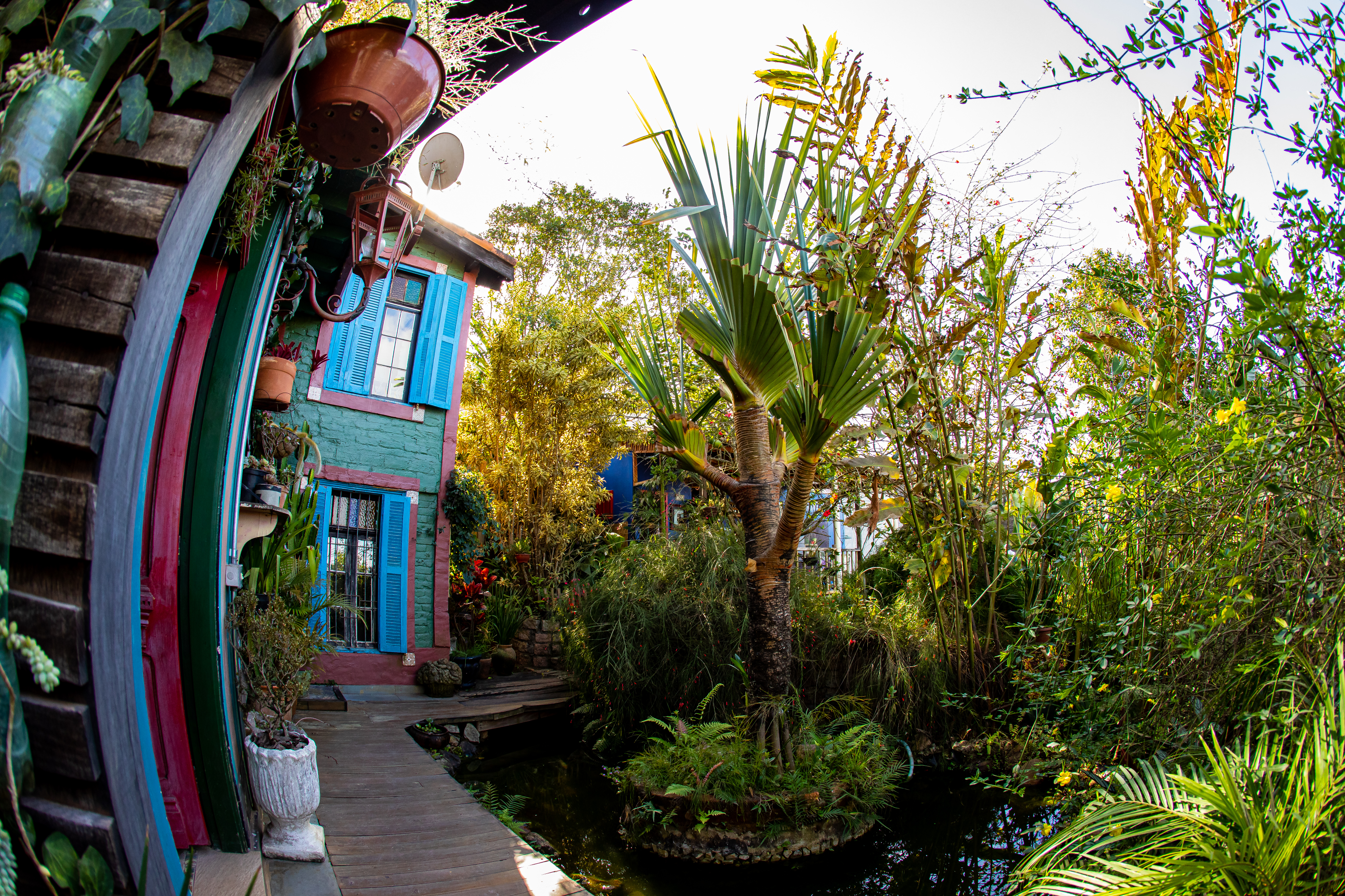 Casa Girafa Vejinha 12.03.24 foto Daniel Deak 0012