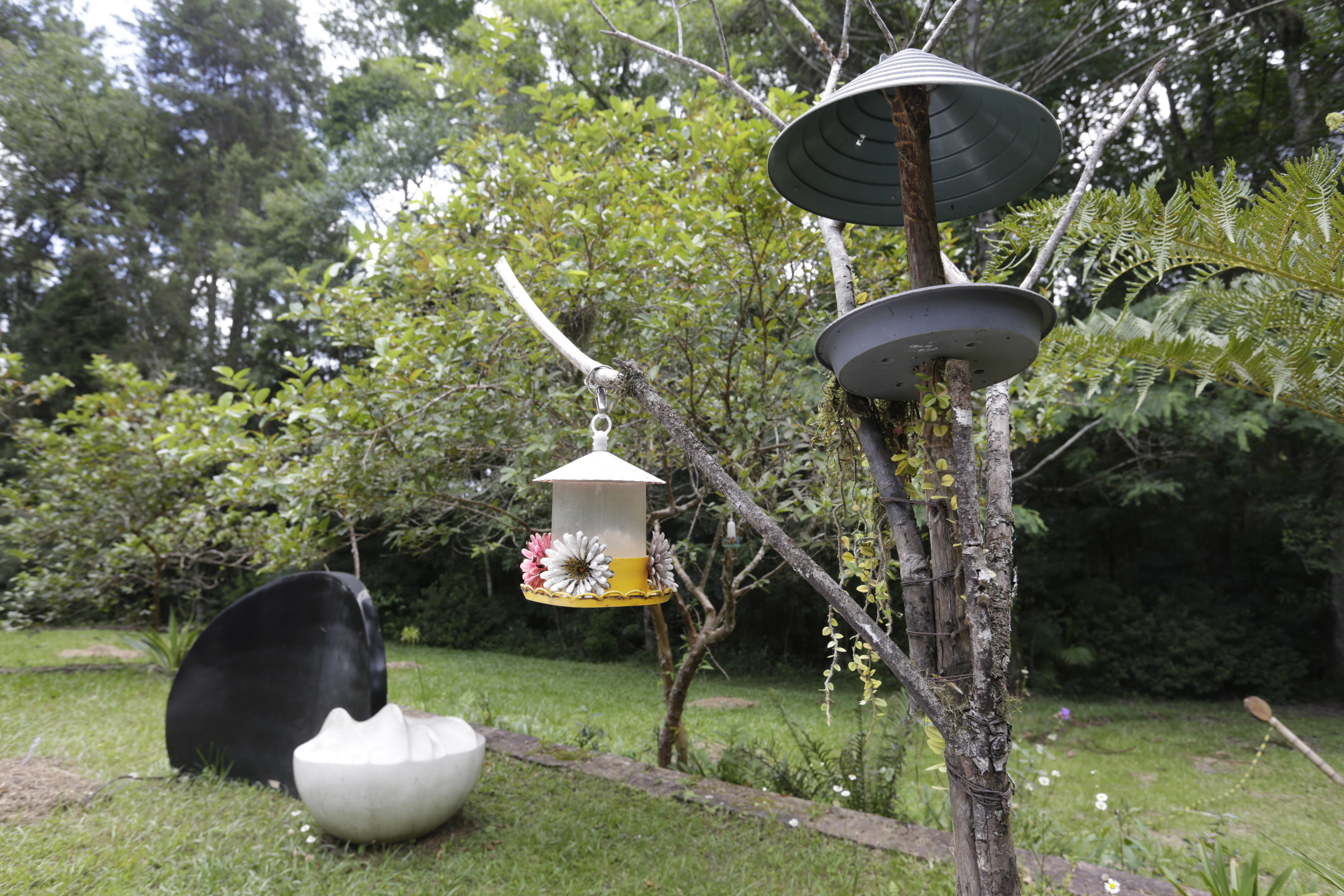 Ecoturismo Sitio Curucutu 290123 Foto JoseCordeiro 0146