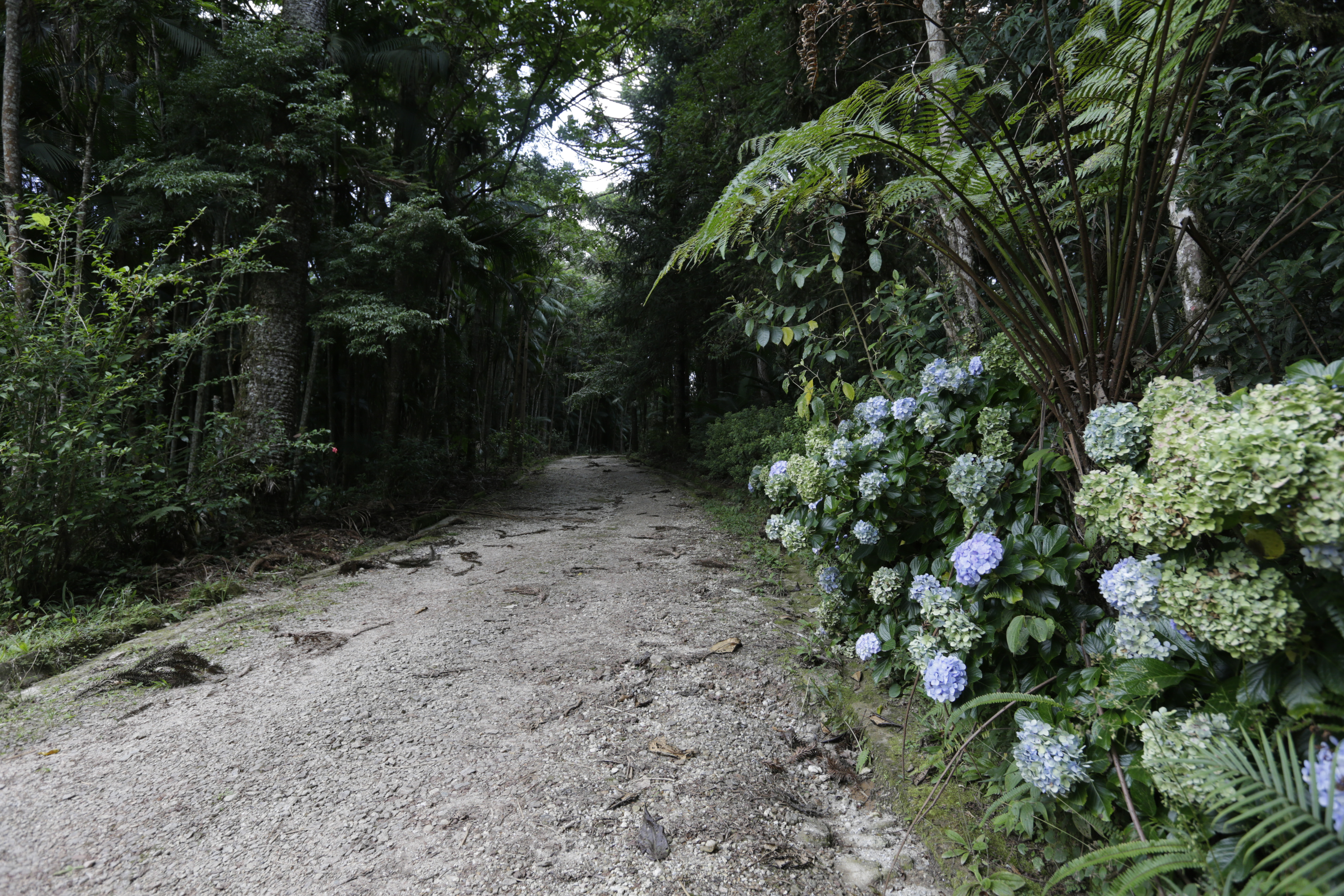 Ecoturismo Sitio Curucutu 290123 Foto JoseCordeiro 0158