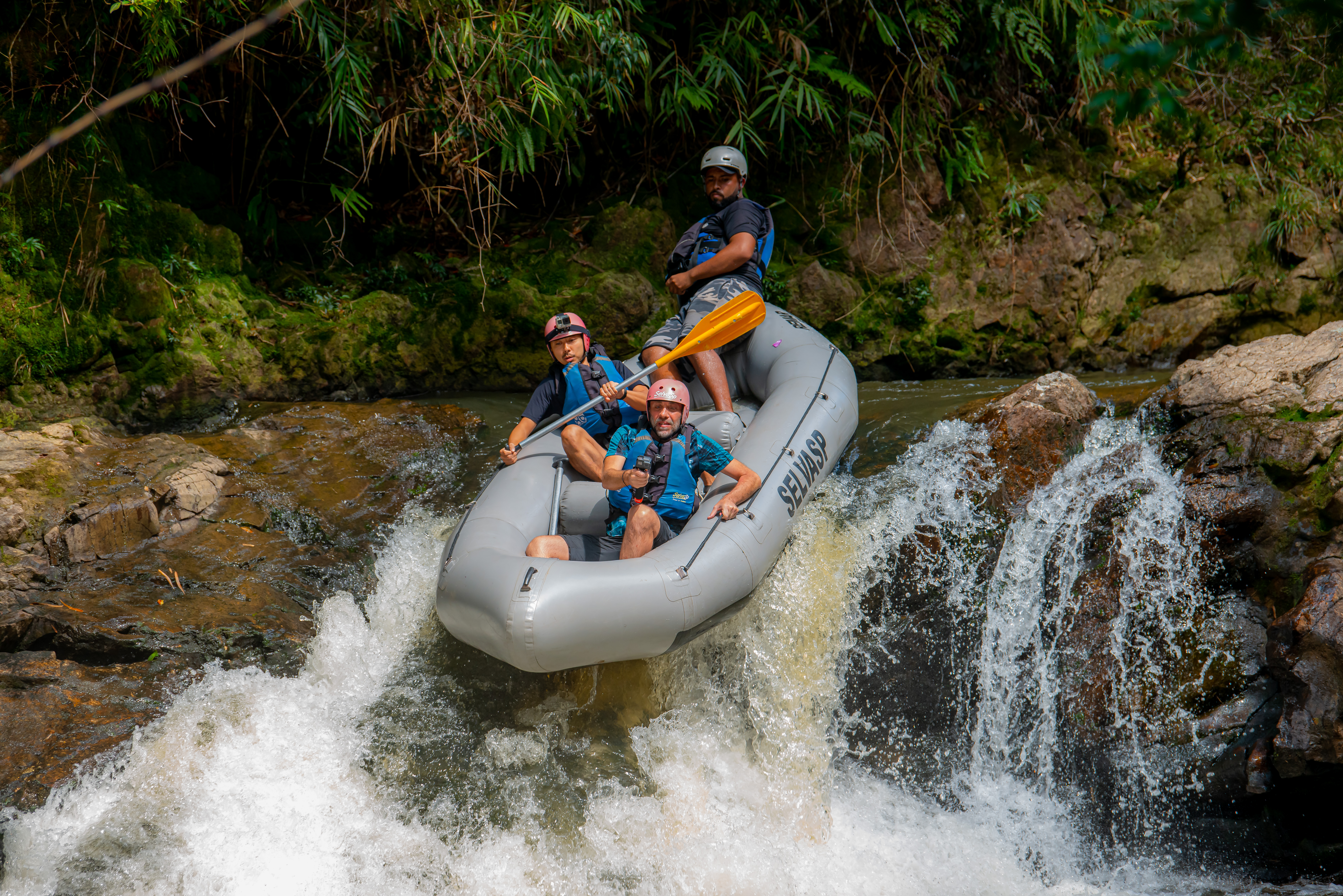 Ecoturismo SelvaSP 05.04.2023 Foto Daniel Deak 0475