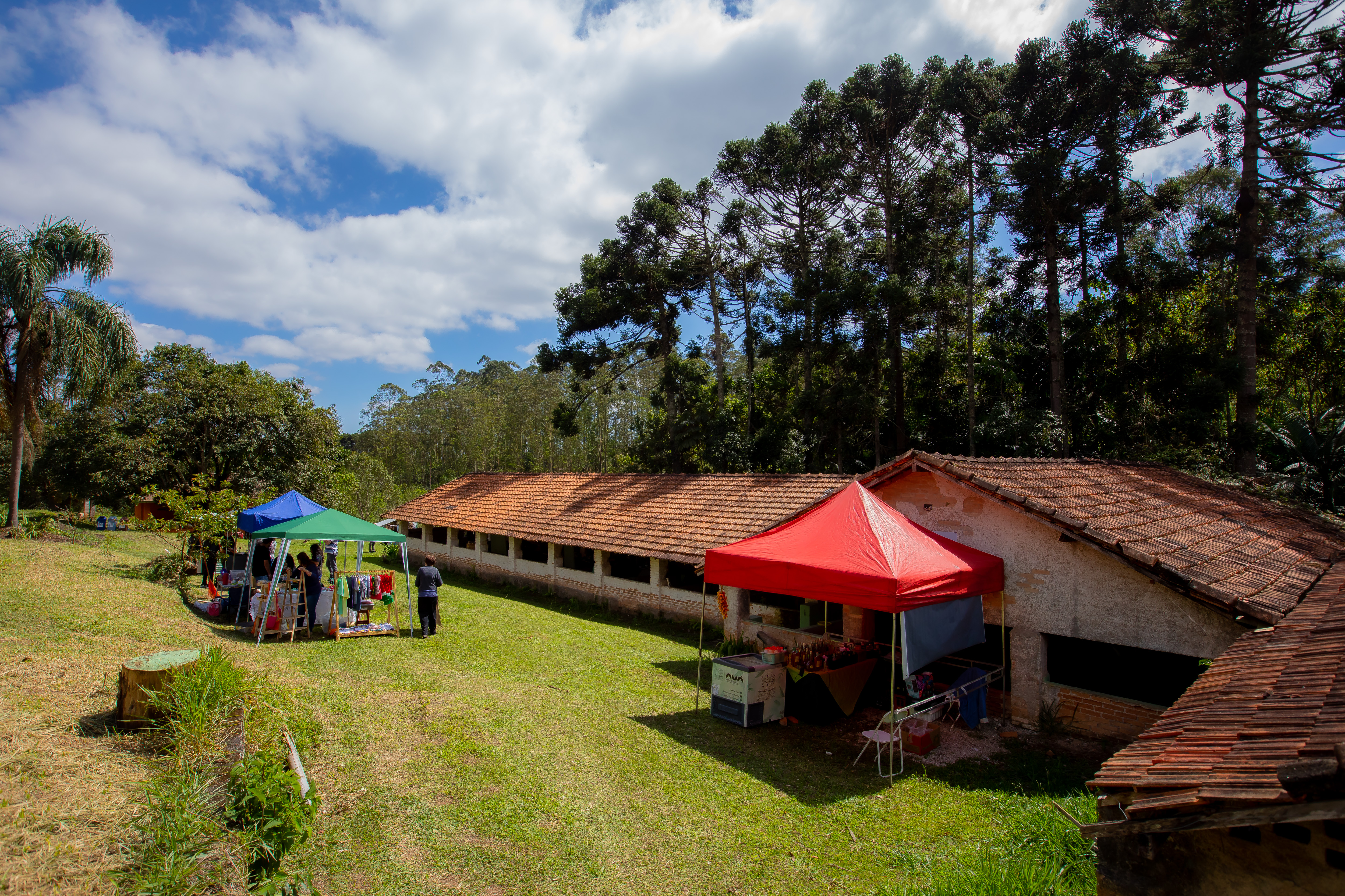Fazenda Planta Feliz 24.09.22 Foto Daniel Deak 0025