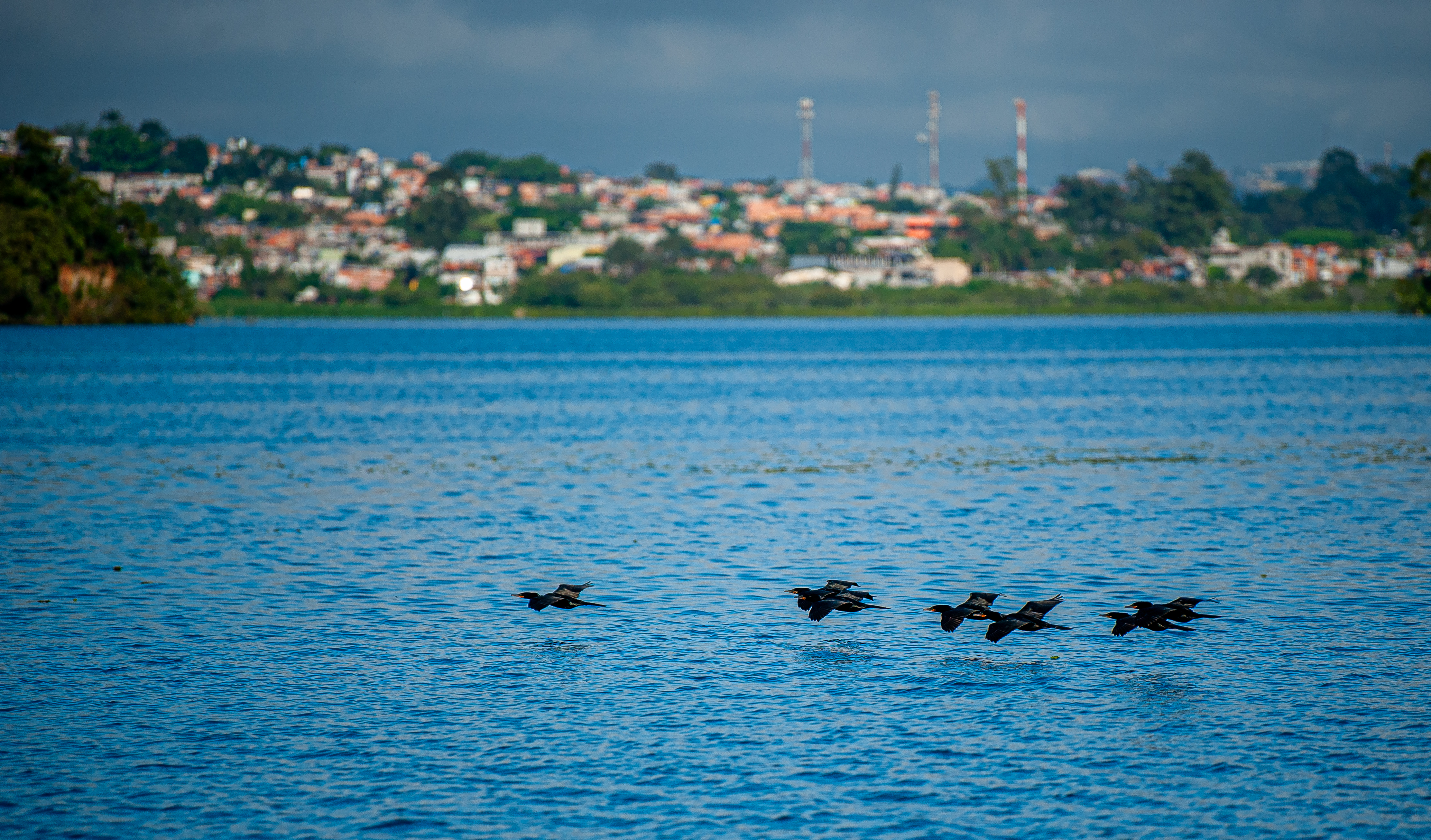 Guarapiranga Vejinha 12.03.24 foto Daniel Deak 0017