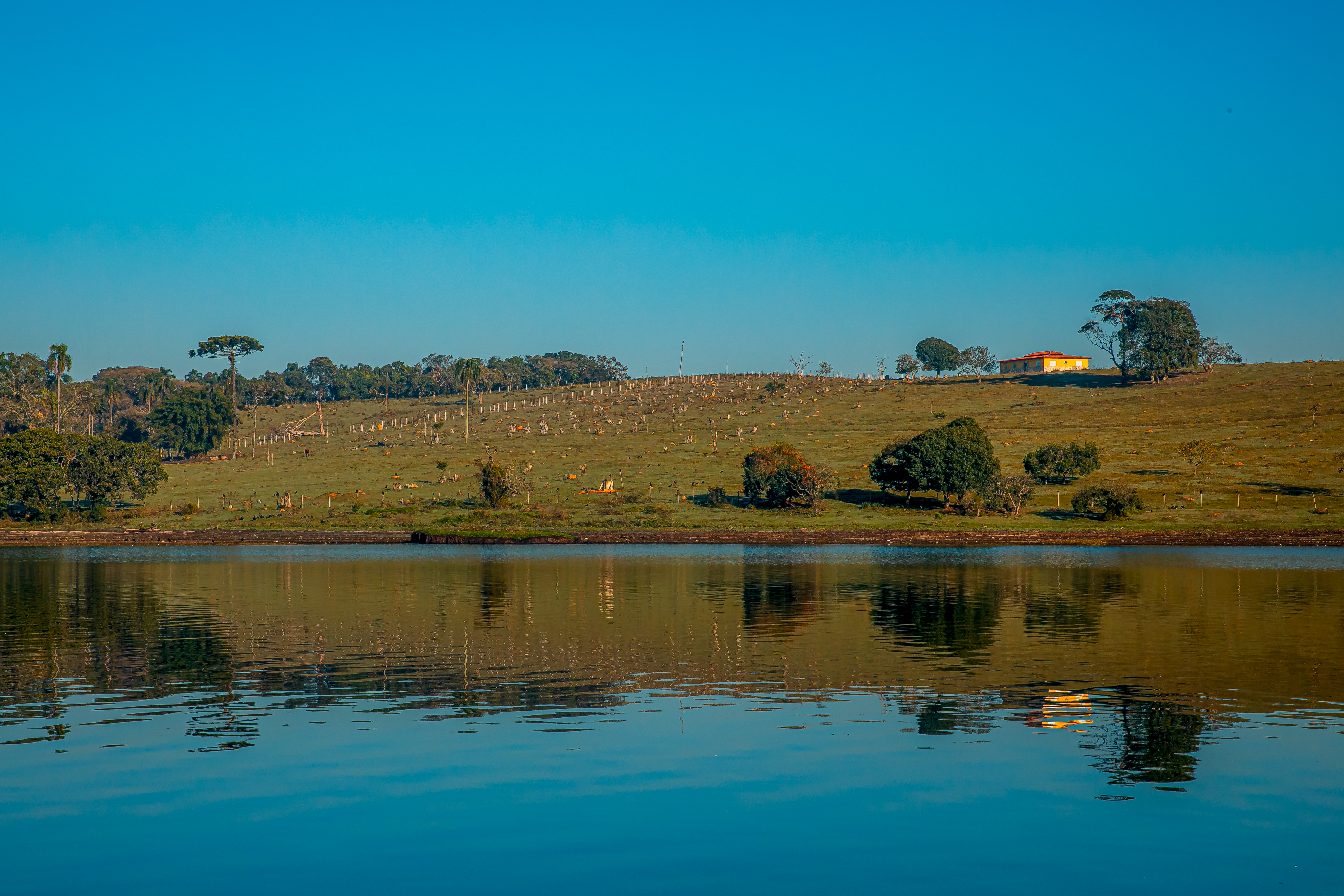 Guarapiranga Vejinha 12.03.24 foto Daniel Deak 0031