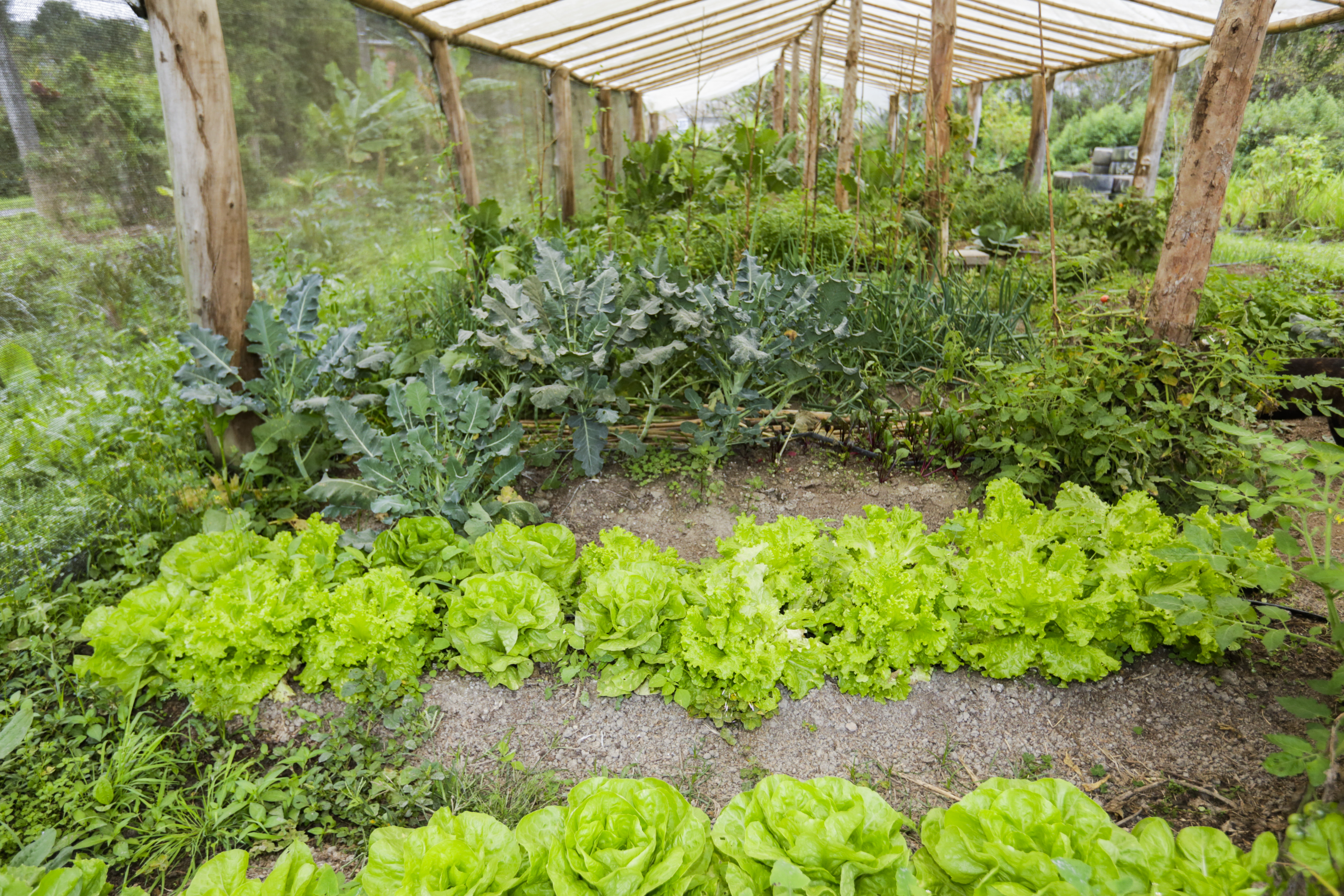 Parelheiros Eco Jusa 150922 Foto Jose Cordeiro 0025