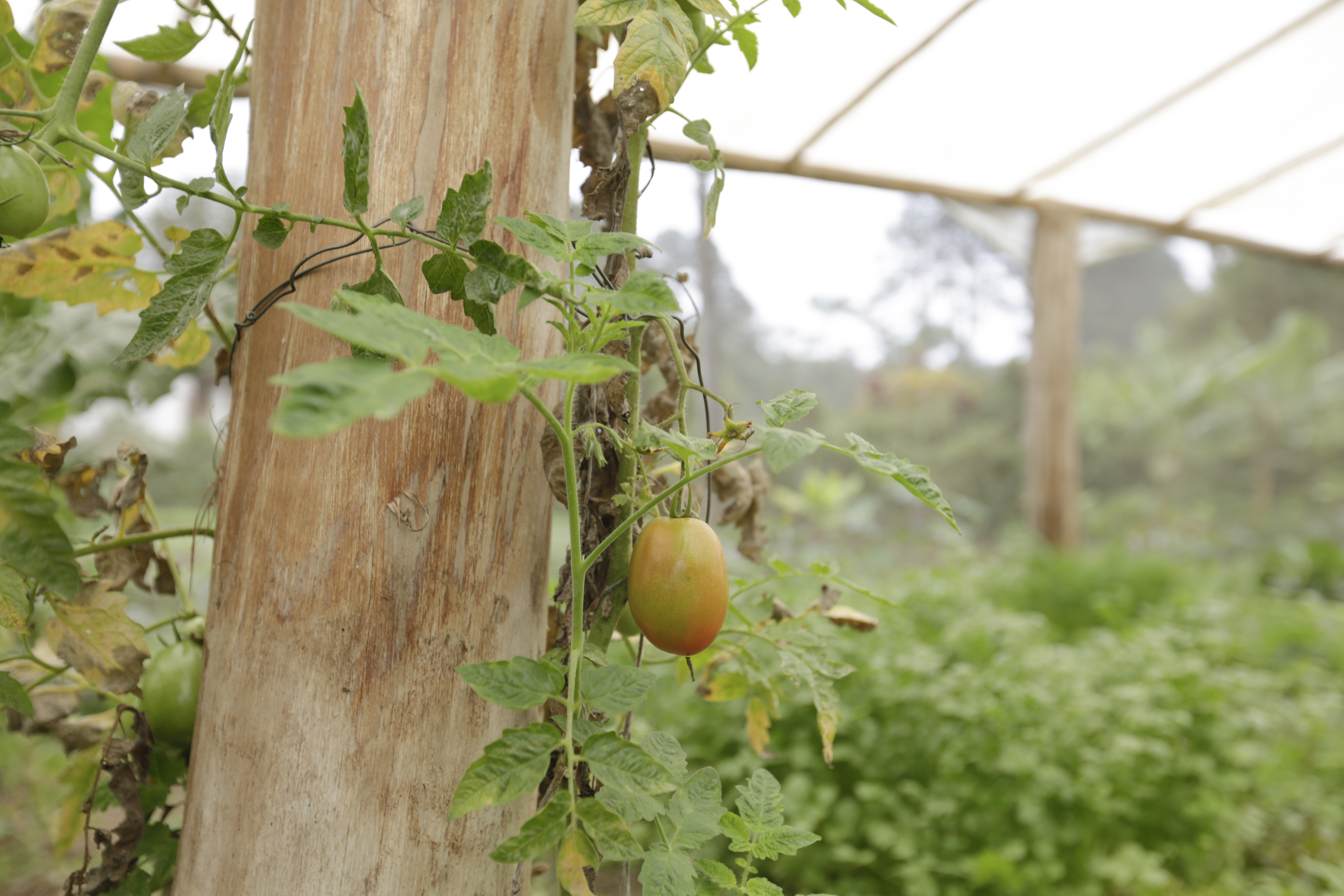 Parelheiros Eco Jusa 150922 Foto Jose Cordeiro 0043