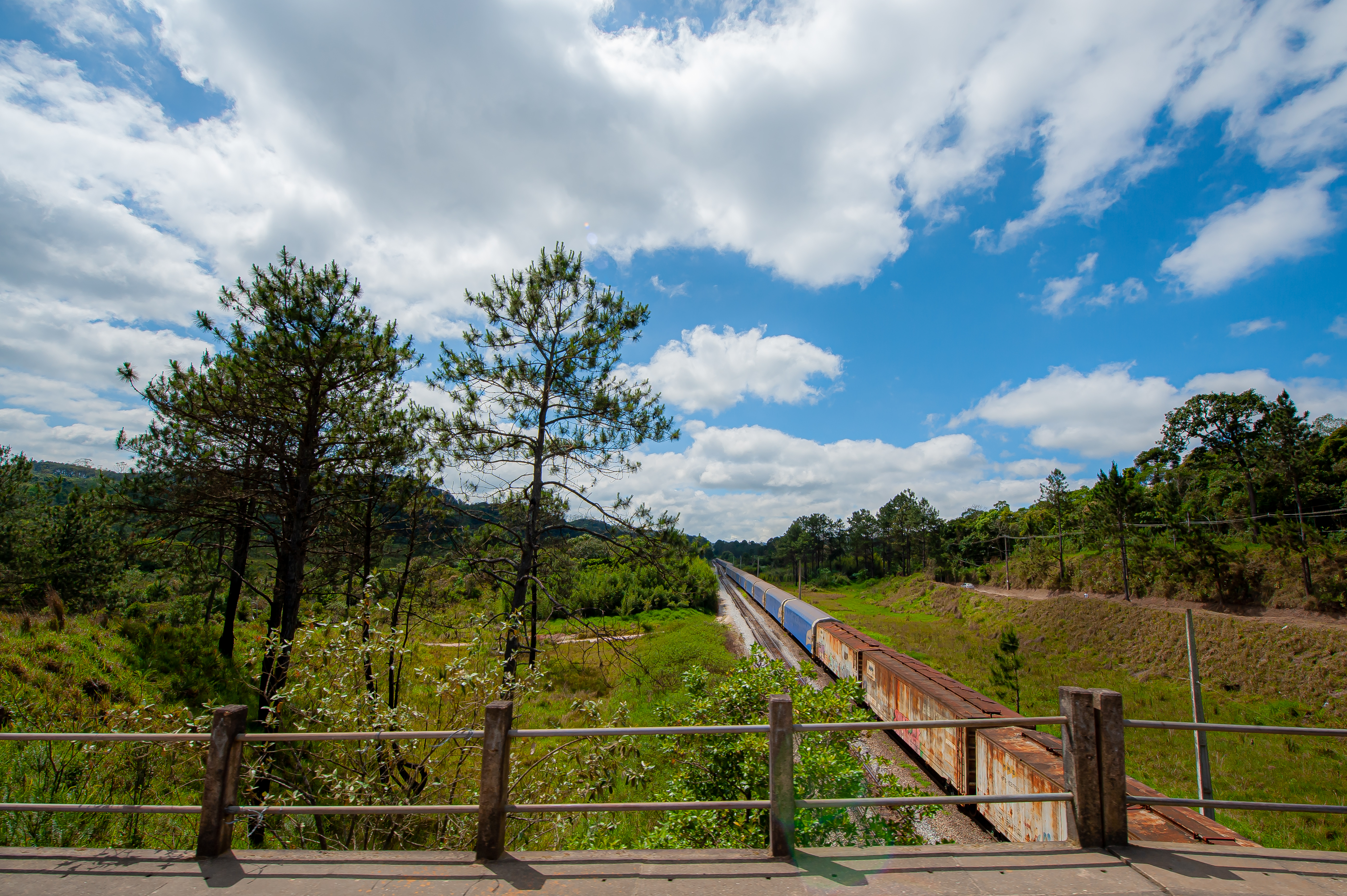 Parque Serra do Mar 32.10.22 Foto Daniel Deak 0019