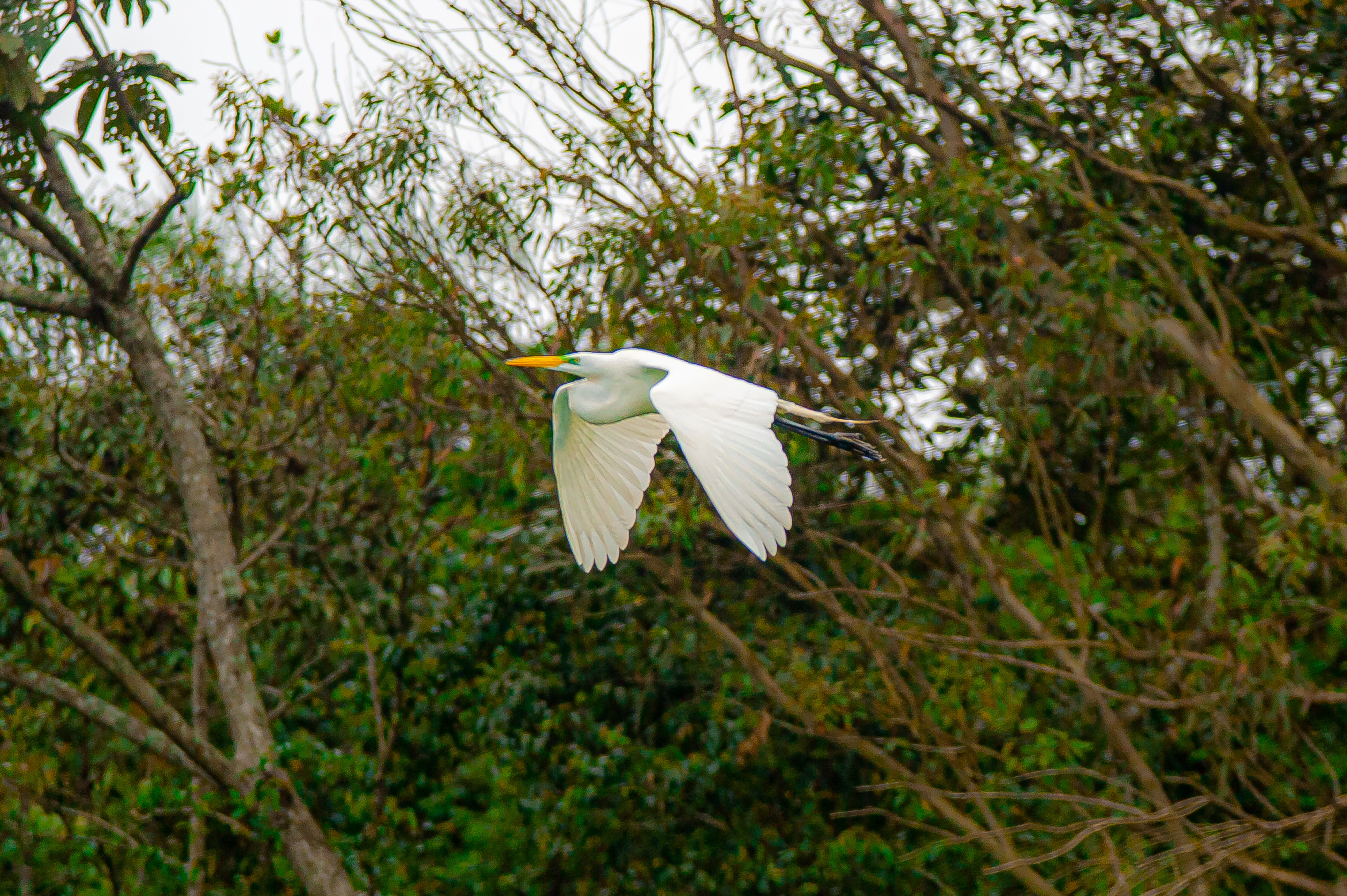 Parque Borore 17.10.22 foto Daniel Deak 0106
