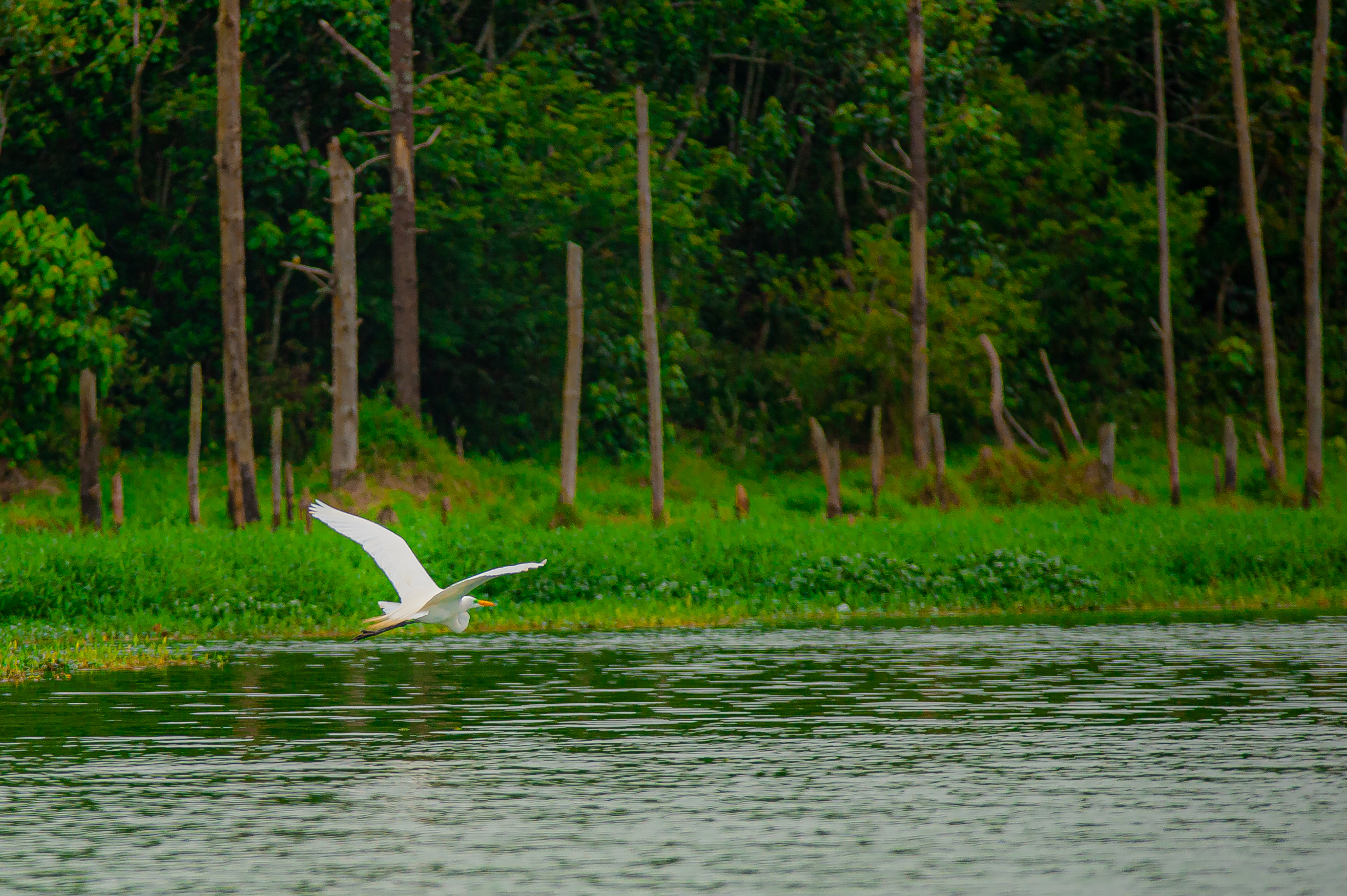 Parque Borore 17.10.22 foto Daniel Deak 0113