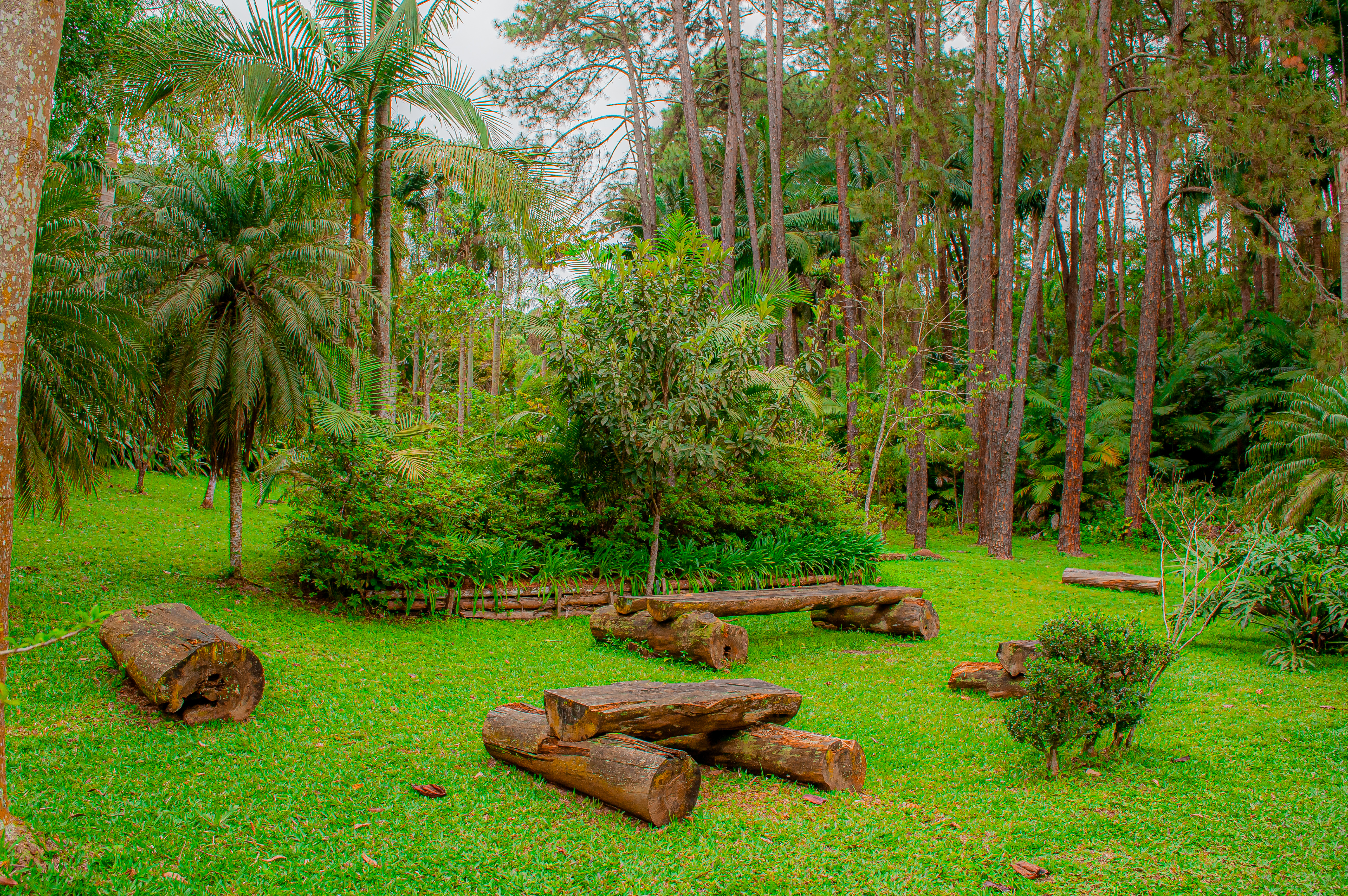 Parques Munic. Parelheiros 17.10.22 Foto Daniel Deak 1718