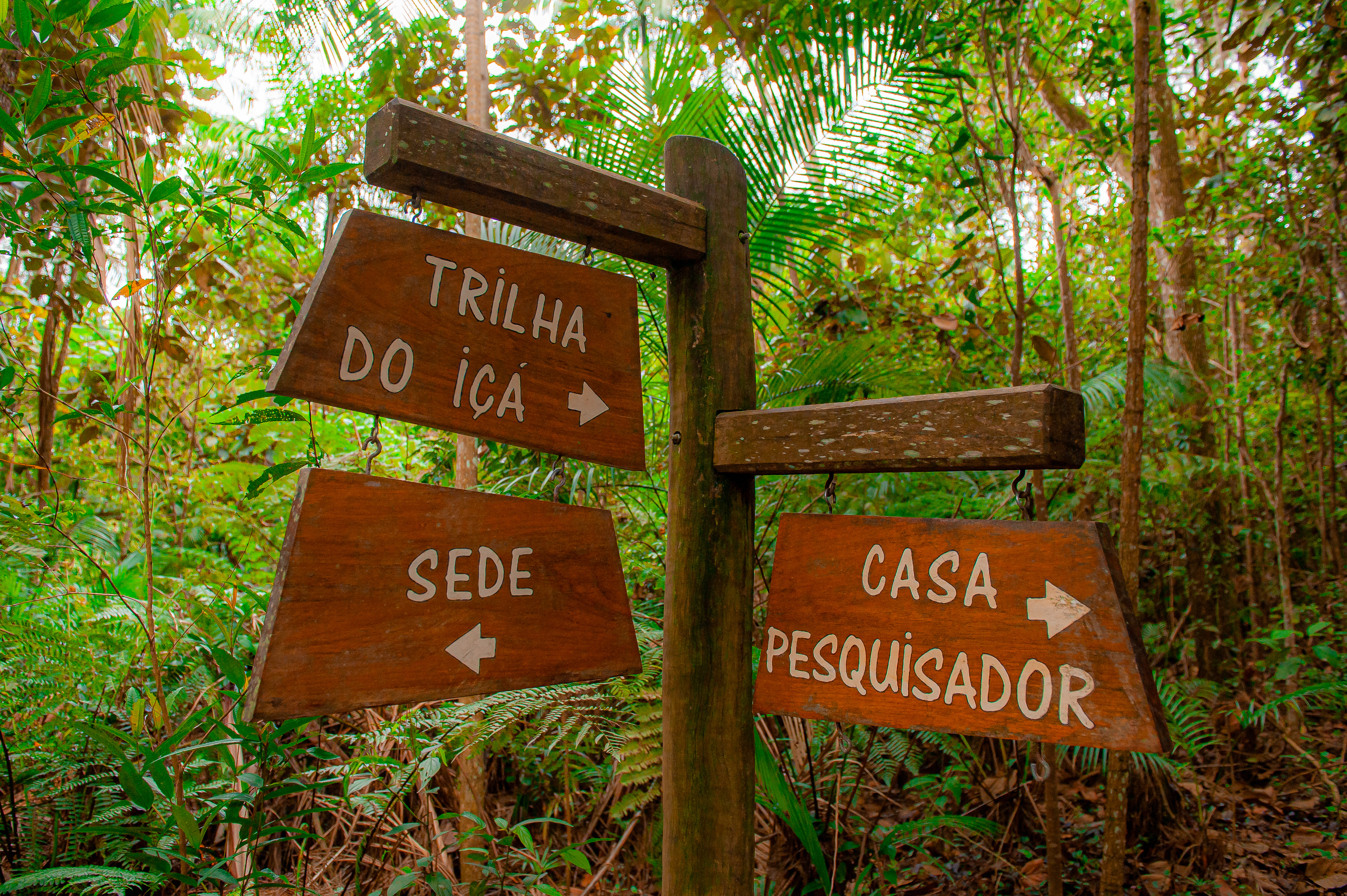 Parques Munic. Parelheiros 17.10.22 Foto Daniel Deak 1762