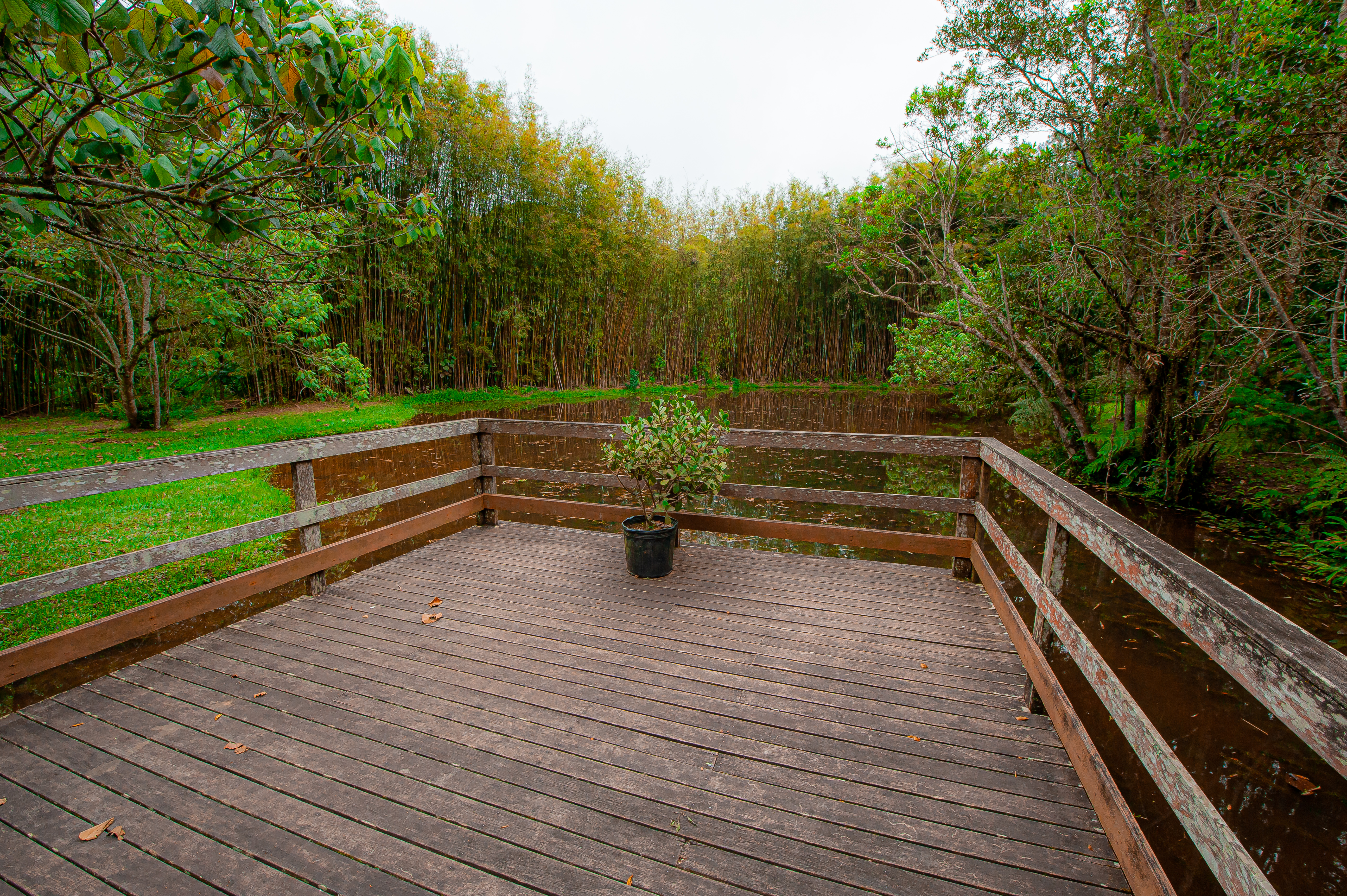 Parques Munic. Parelheiros 17.10.22 Foto Daniel Deak 1770