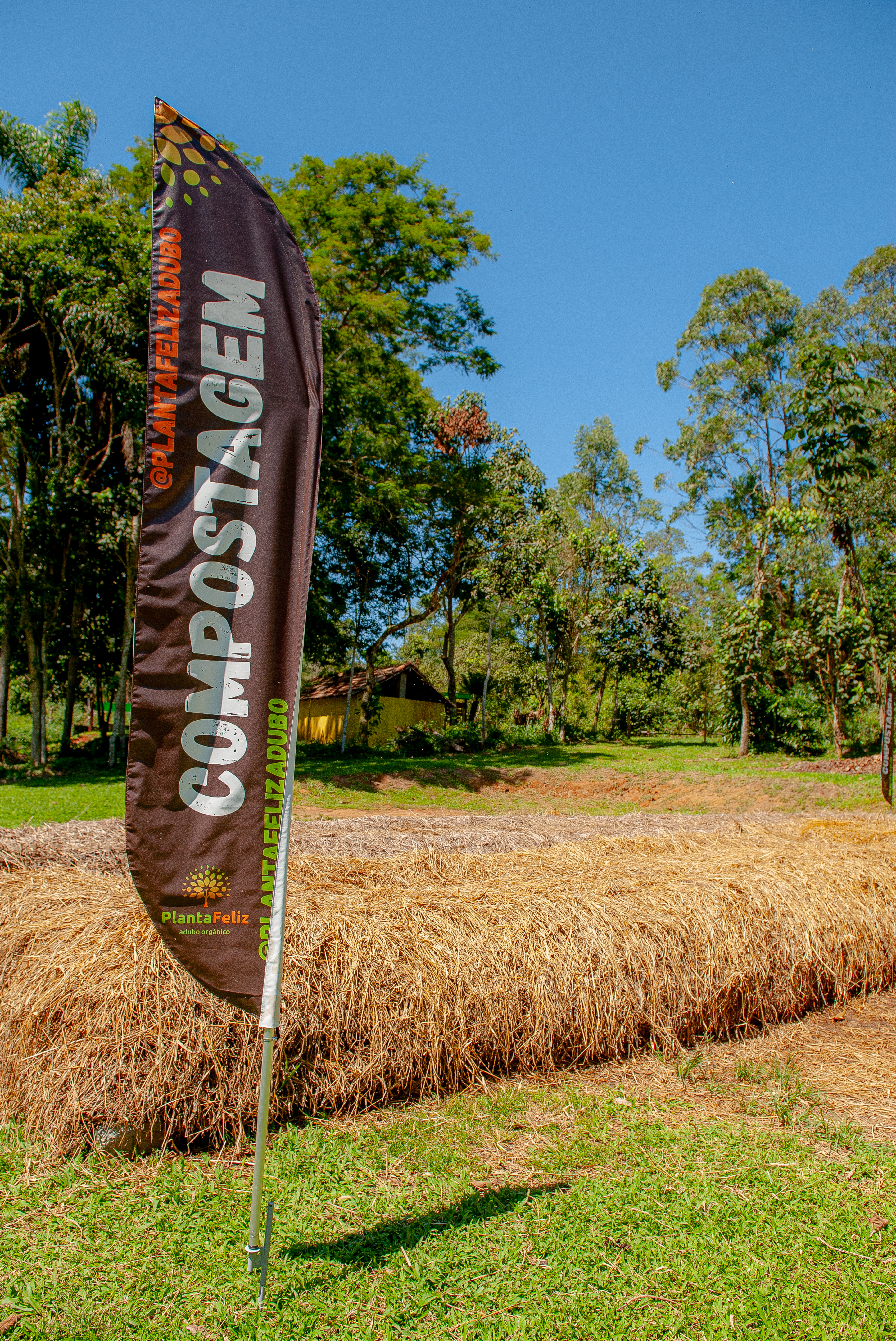 PlantaFeliz Veja 120324 Foto DanielDeak 0015