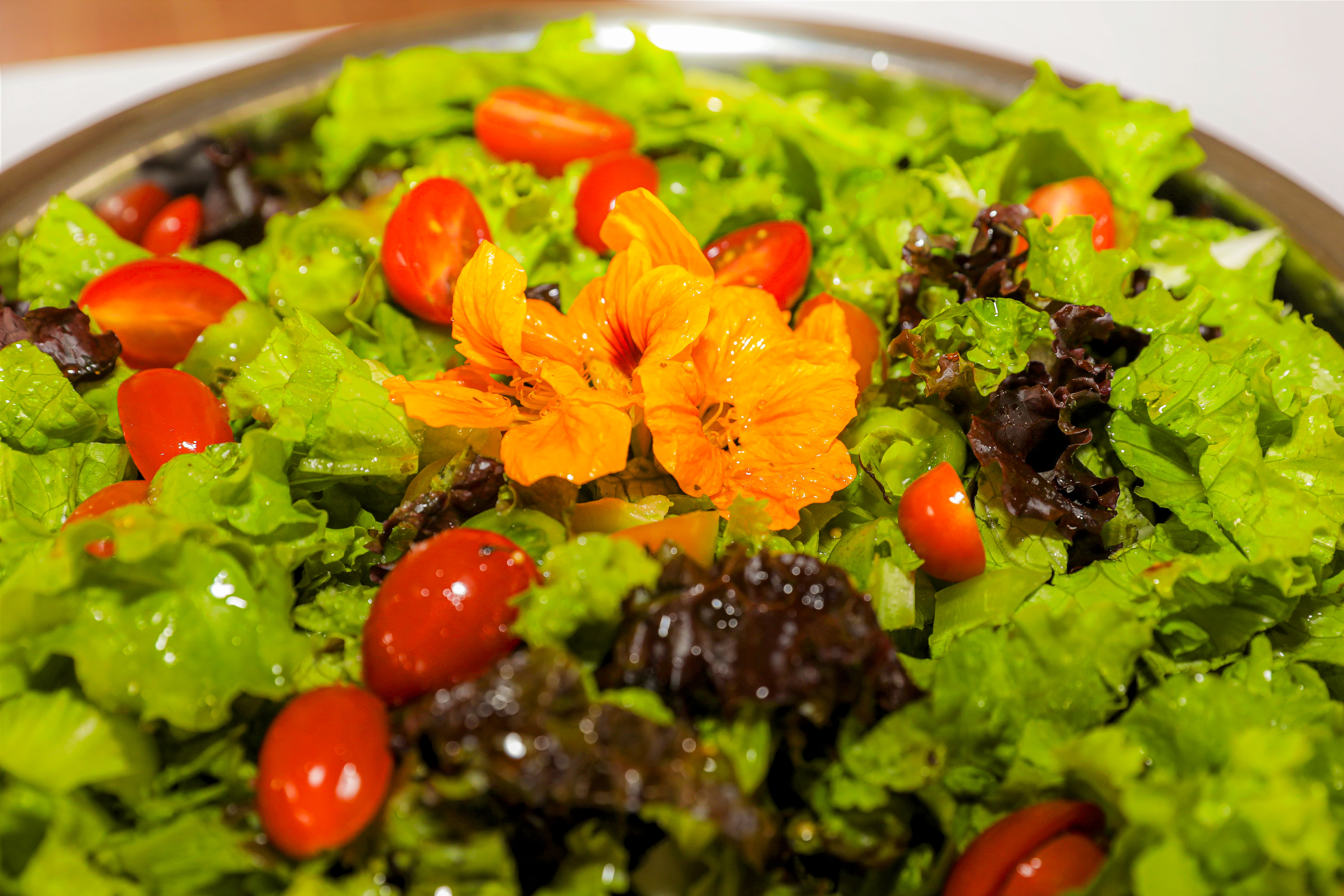 Polo Ecoturismo Sitio Nossa Vida 20072023 Foto Marcelo Iha 61