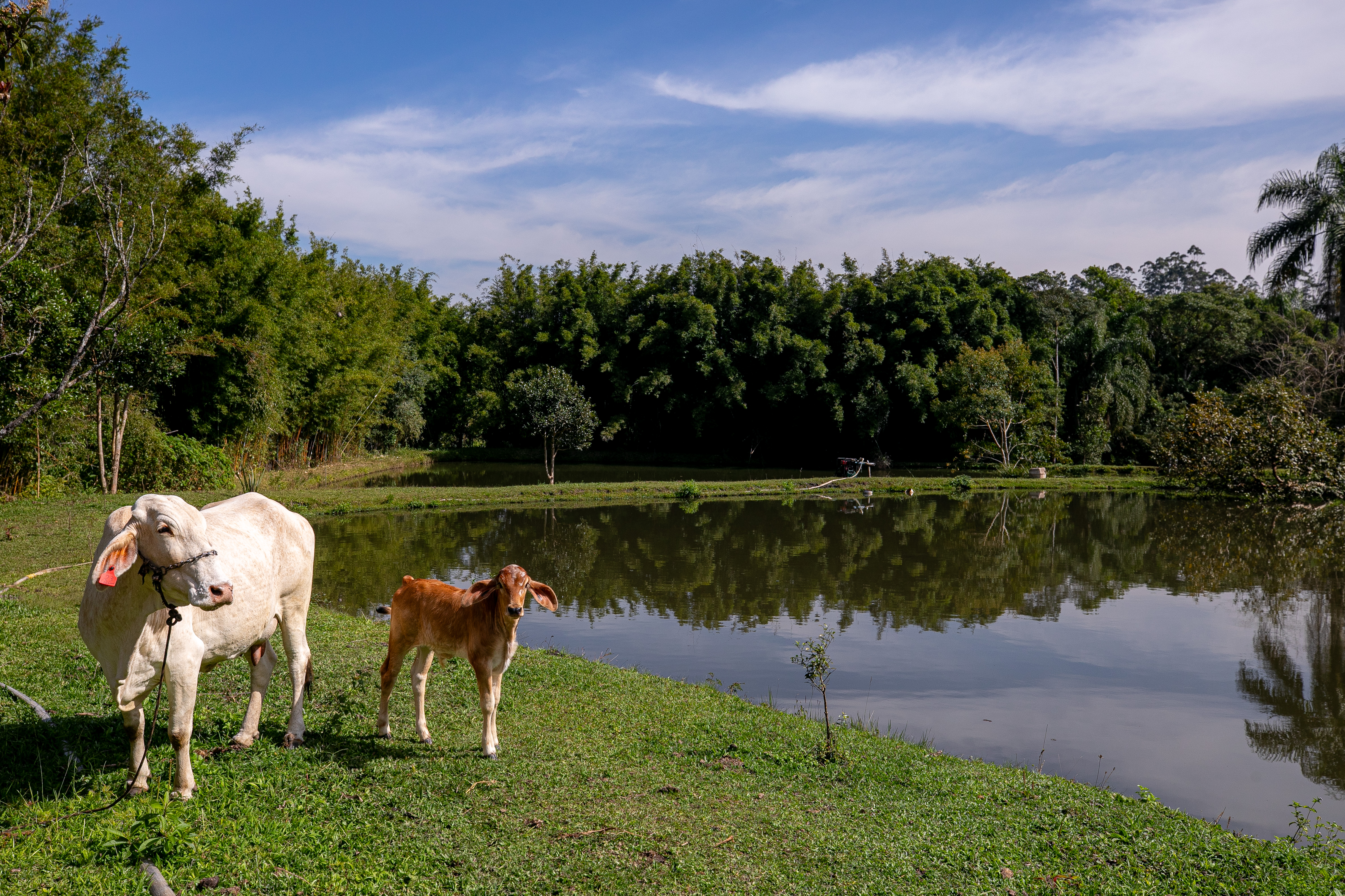 Sit.Nossa .Vida 260525 foto DanielDeak 0634