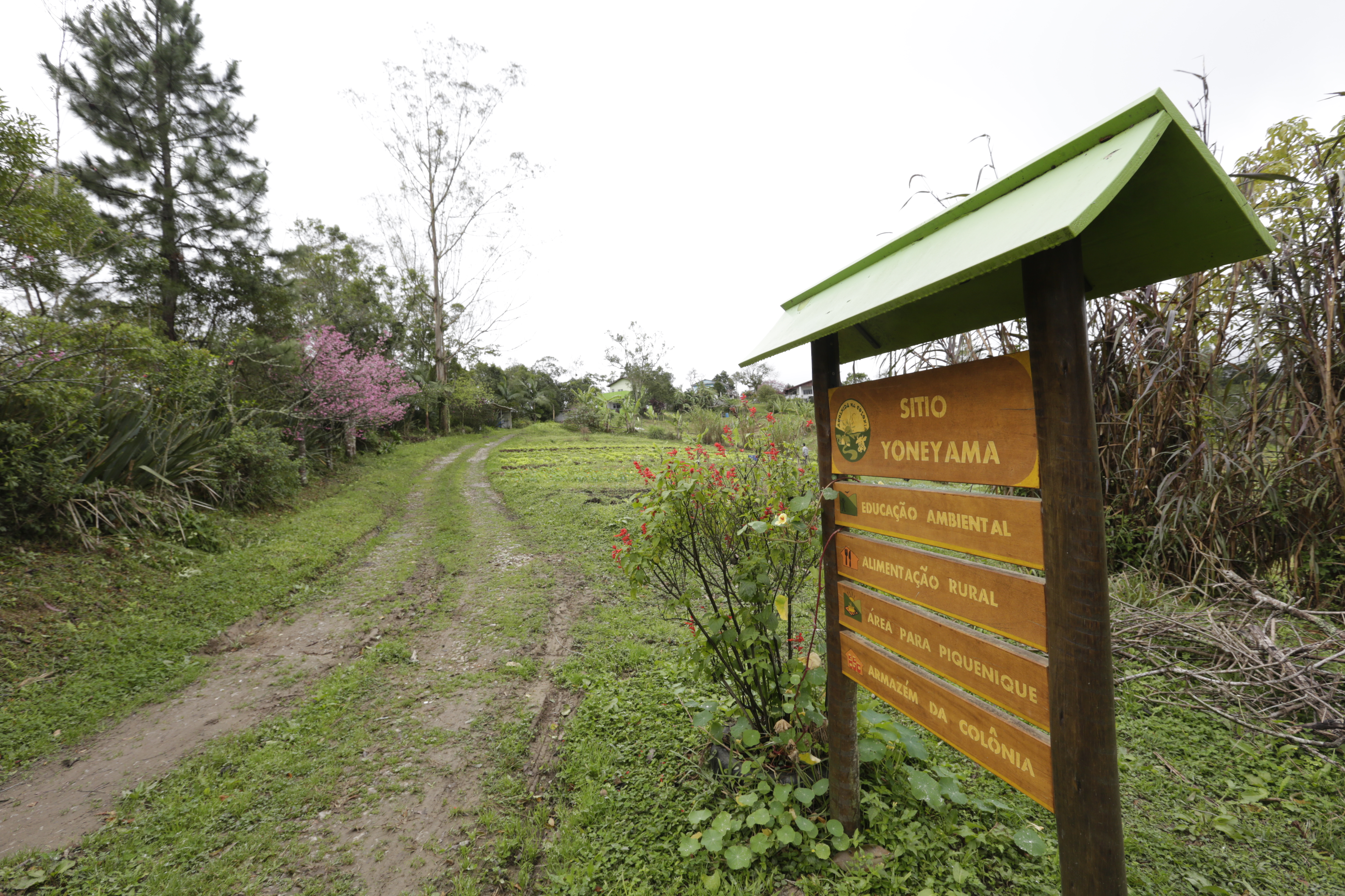 Ecoturismo Sitio Yoneyama 180723 JoseCordeiro 0138