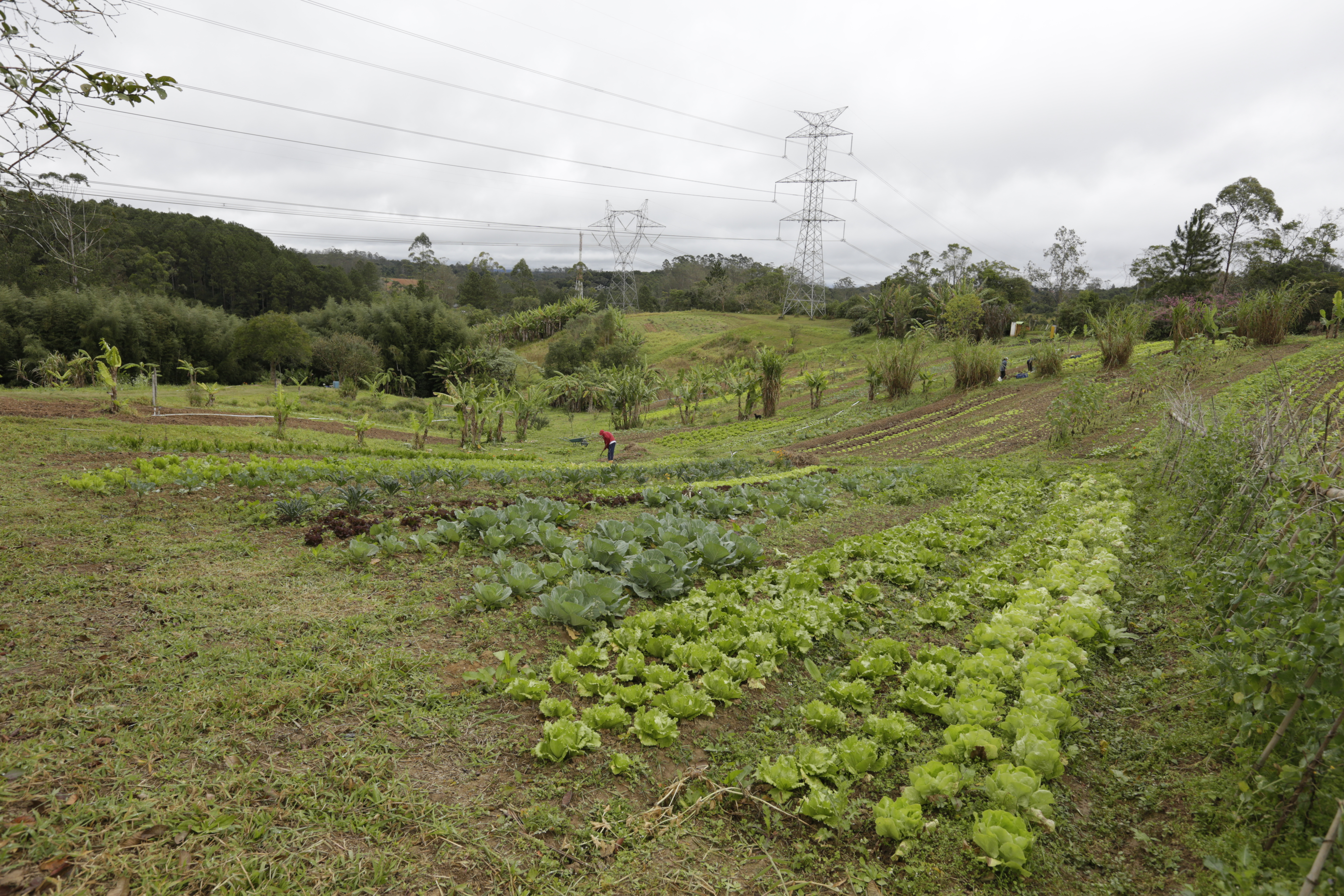 Ecoturismo Sitio Yoneyama 180723 JoseCordeiro 0154
