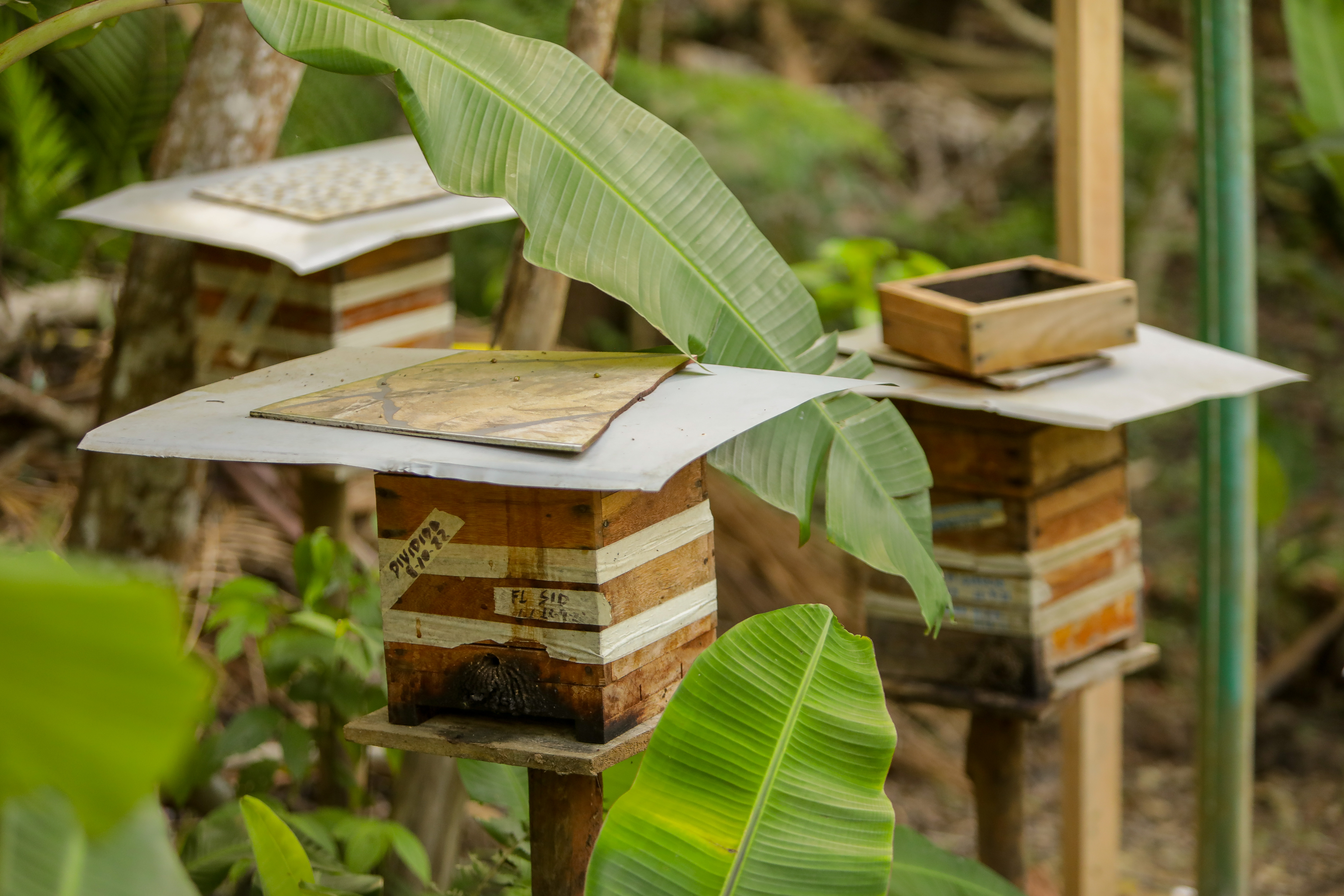 Ecoturismo Mondury 13022023 Foto Daniel Deak 0623