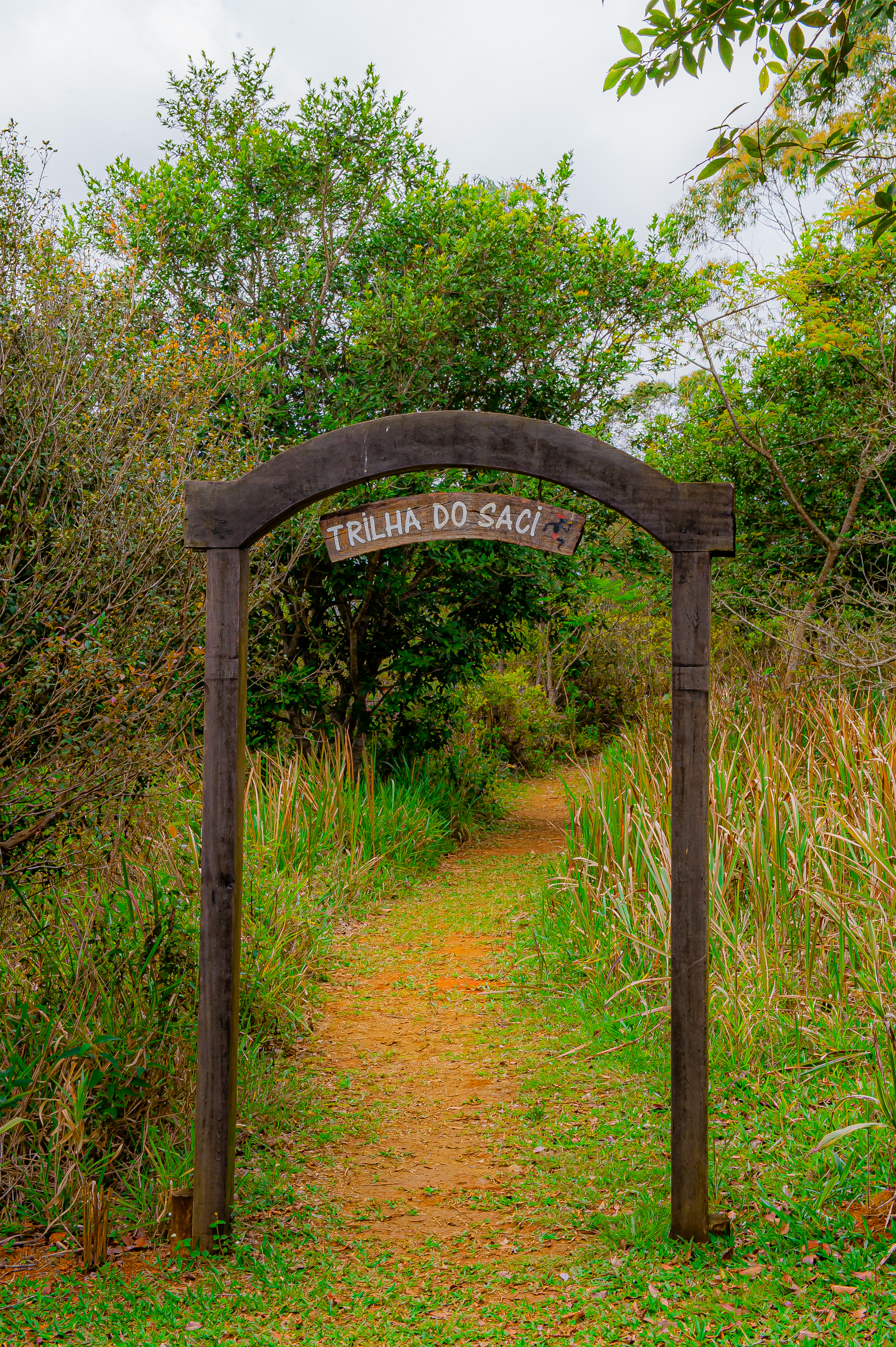 Parques Munic. Parelheiros 17.10.22 Foto Daniel Deak 0012