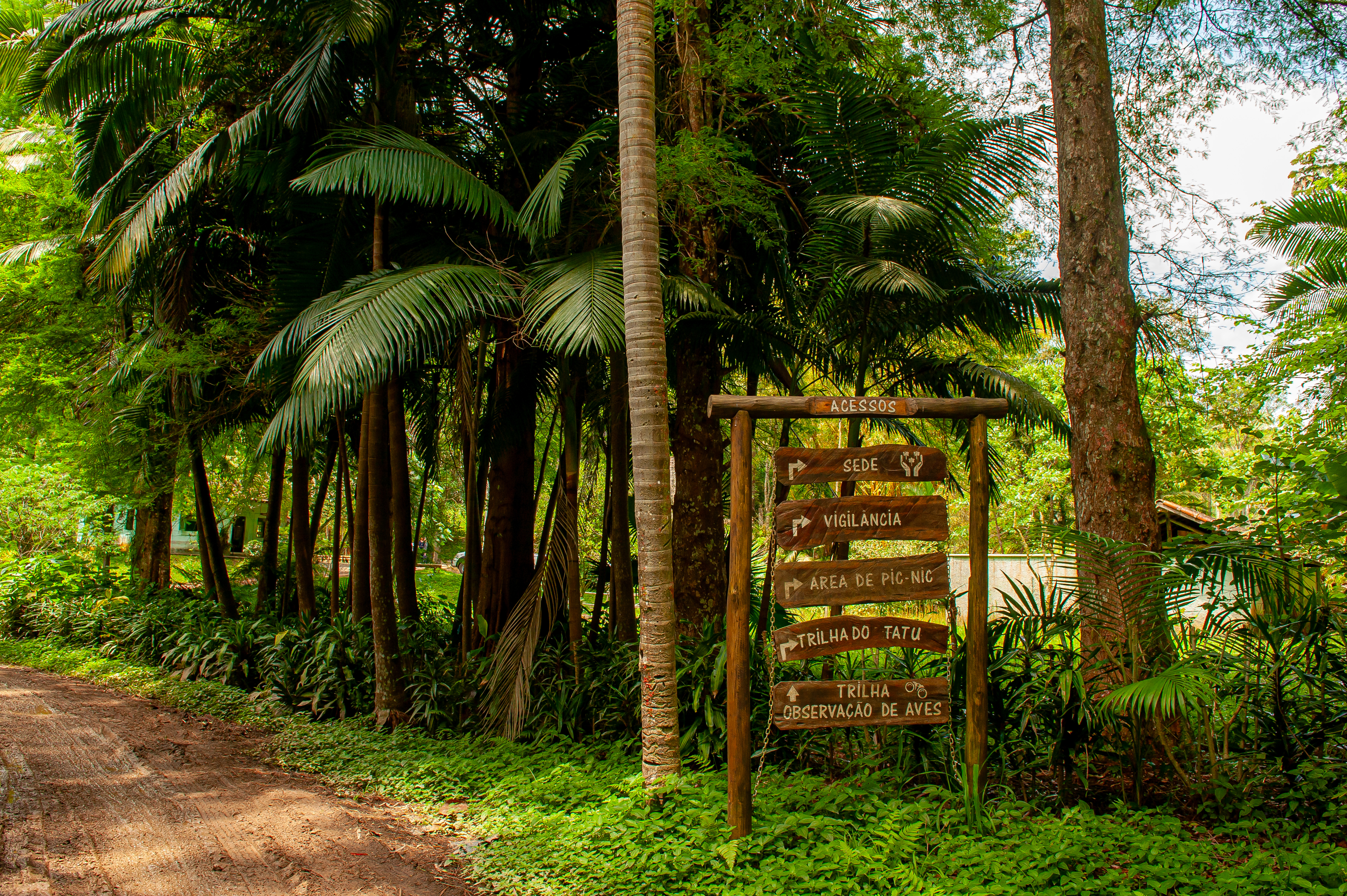 Parques Munic. Parelheiros 17.10.22 Foto Daniel Deak 0273