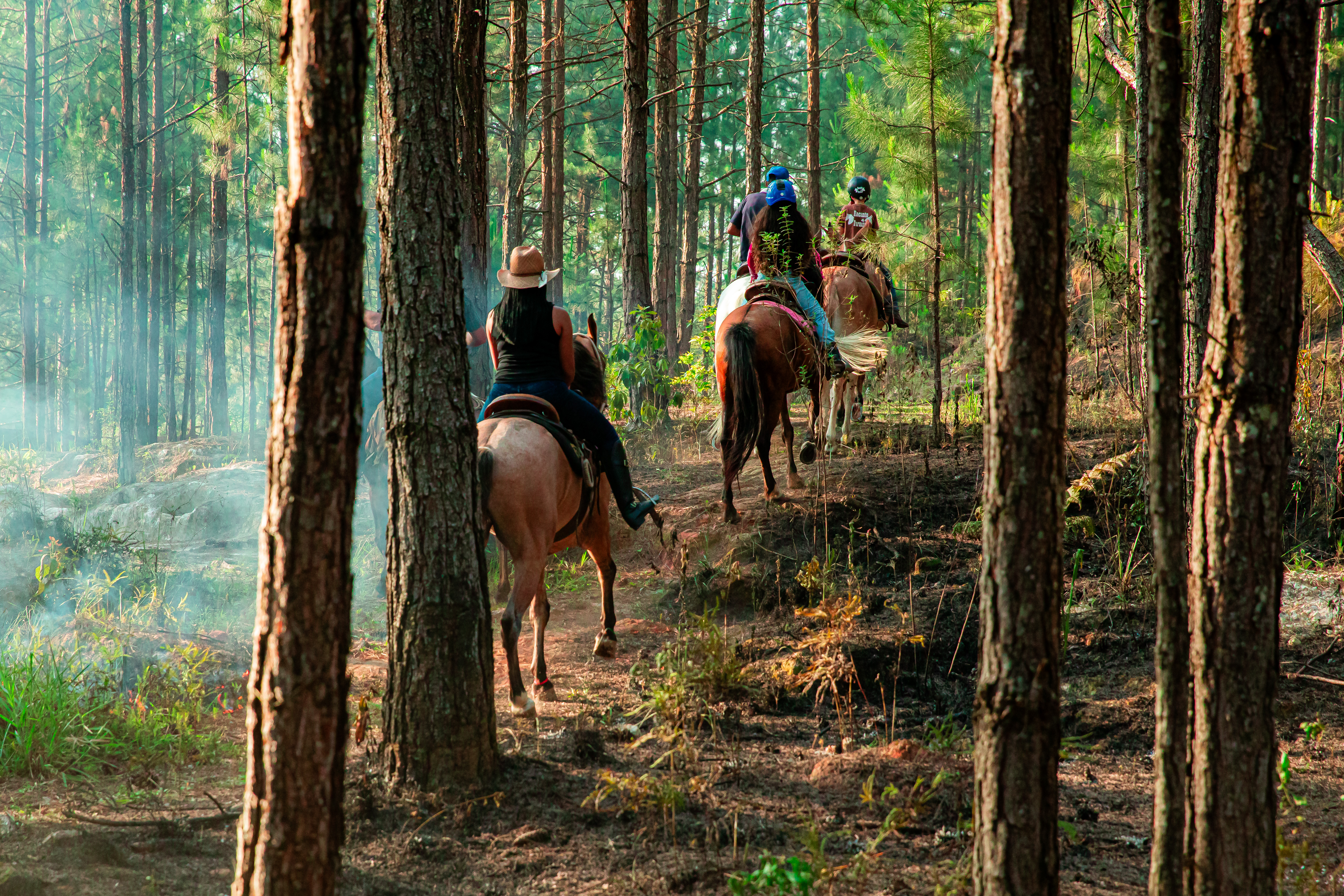 Rec.Paraiso 091123 fotos.Daniel.Deak 1259