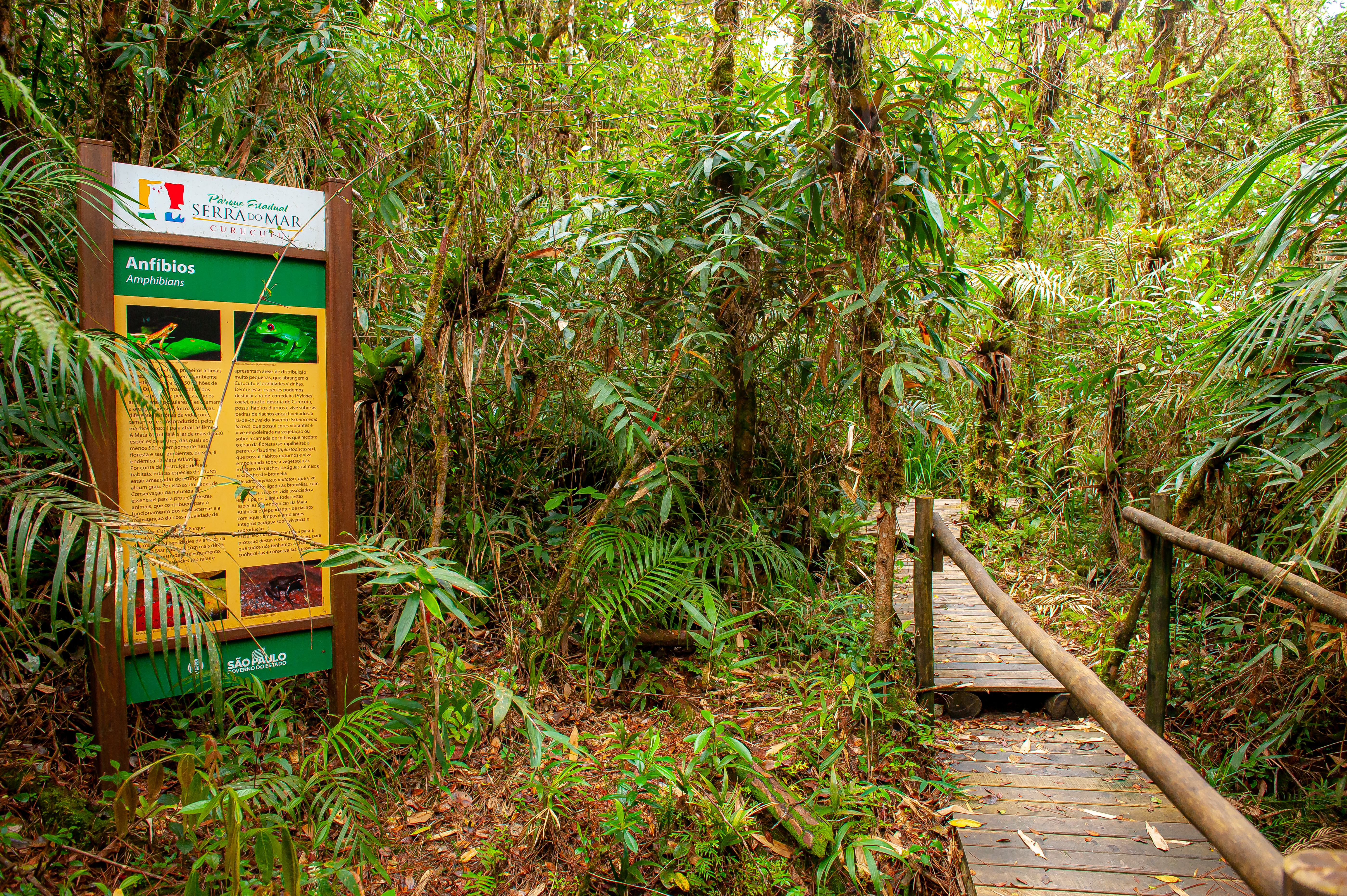 Parque Serra do Mar 32.10.22 Foto Daniel Deak 0347