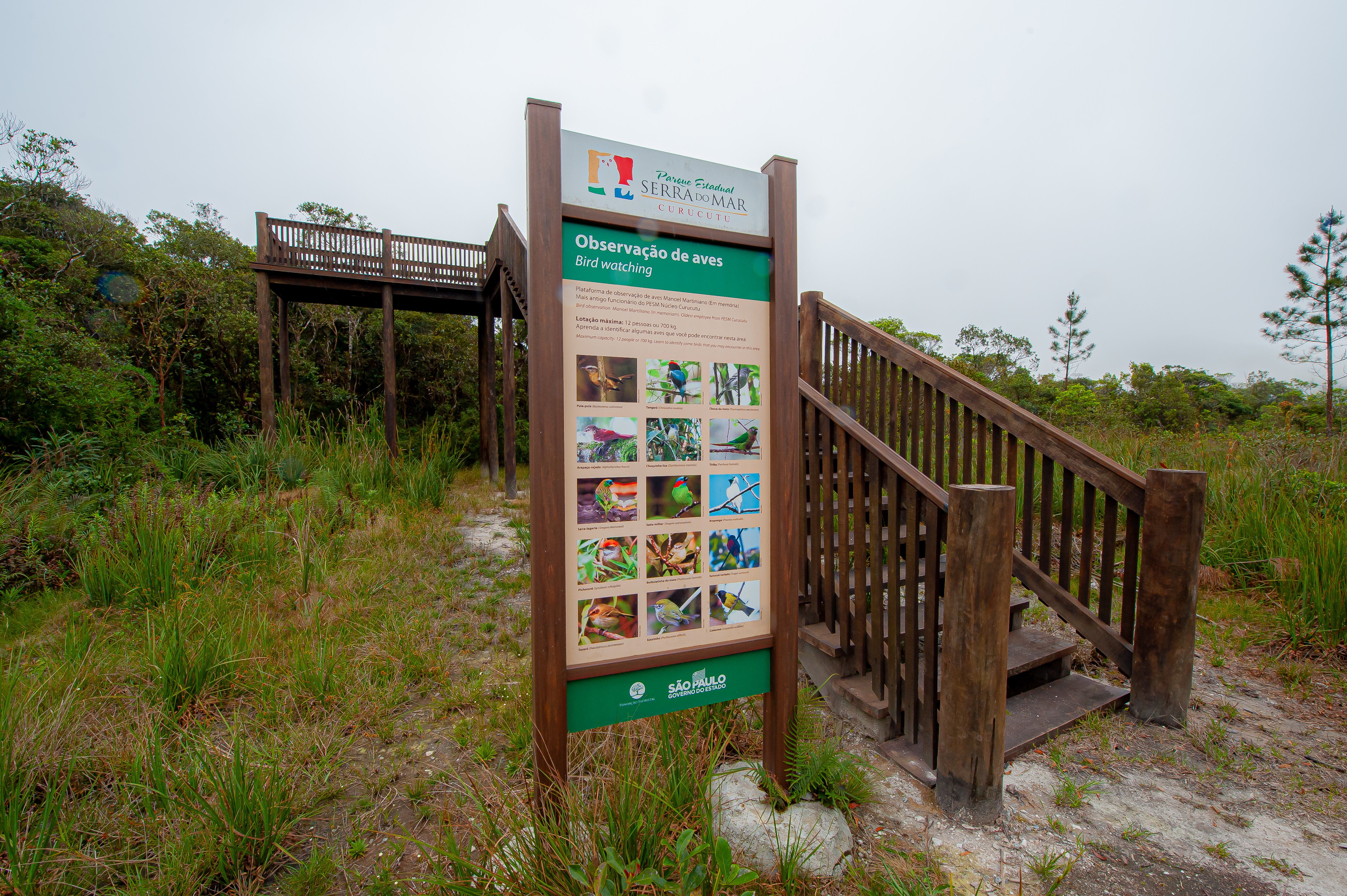 Parque Serra do Mar 32.10.22 Foto Daniel Deak 1147