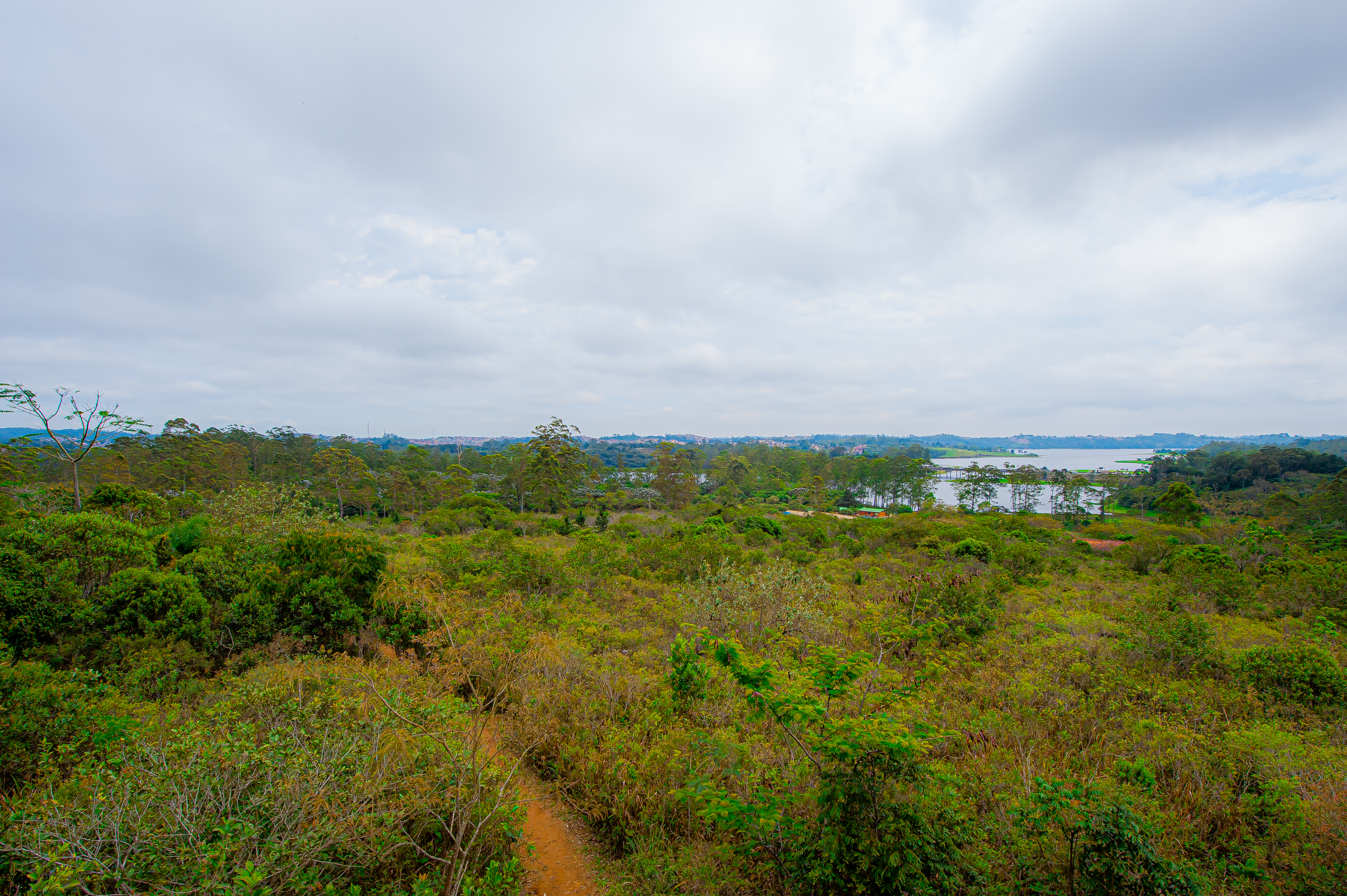 Parques Munic. Parelheiros 17.10.22 Foto Daniel Deak 0031