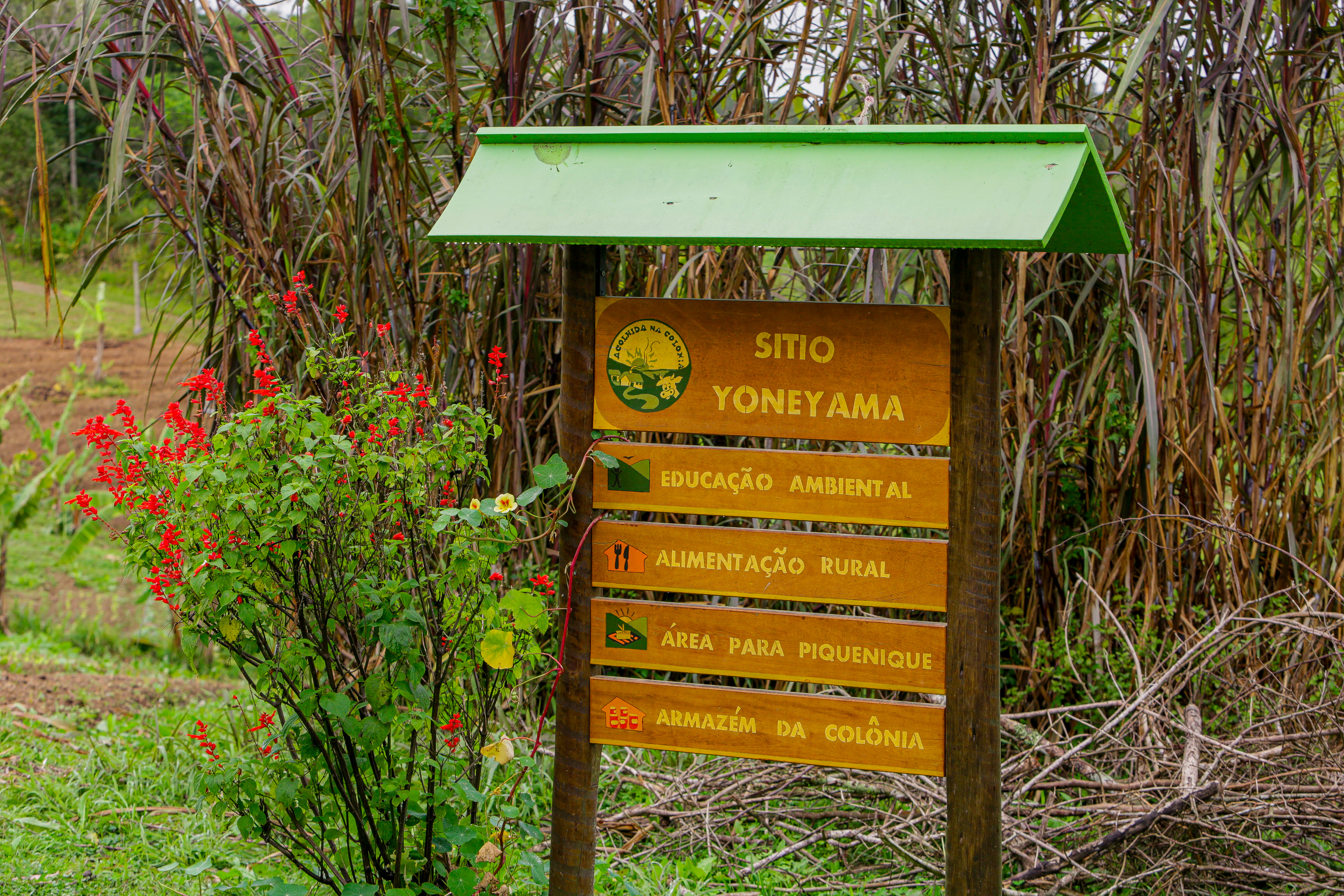 Ecoturismo Sitio Yoneyama 180723 JoseCordeiro 0132