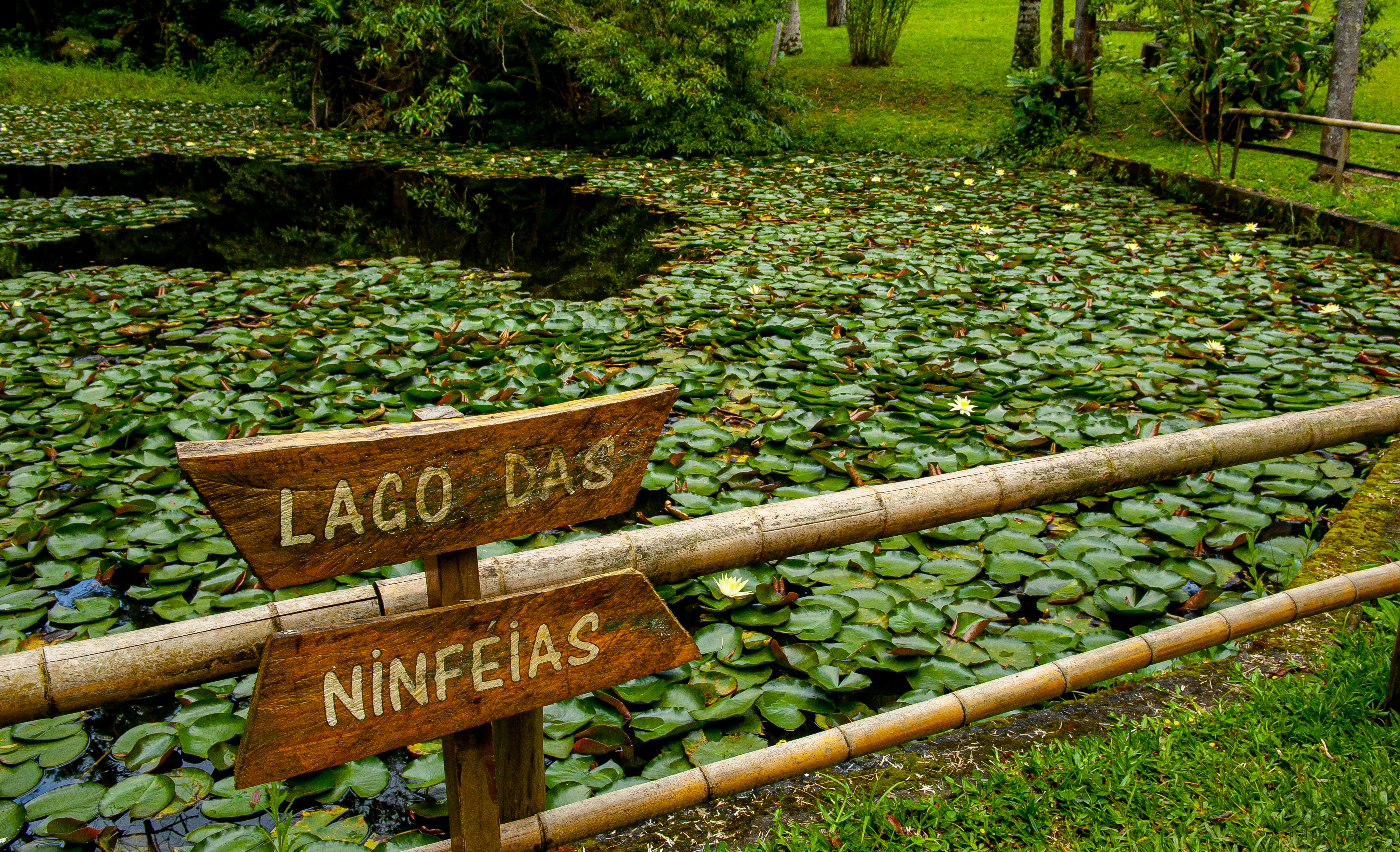 Parques Munic. Parelheiros 17.10.22 Foto Daniel Deak 0406 1