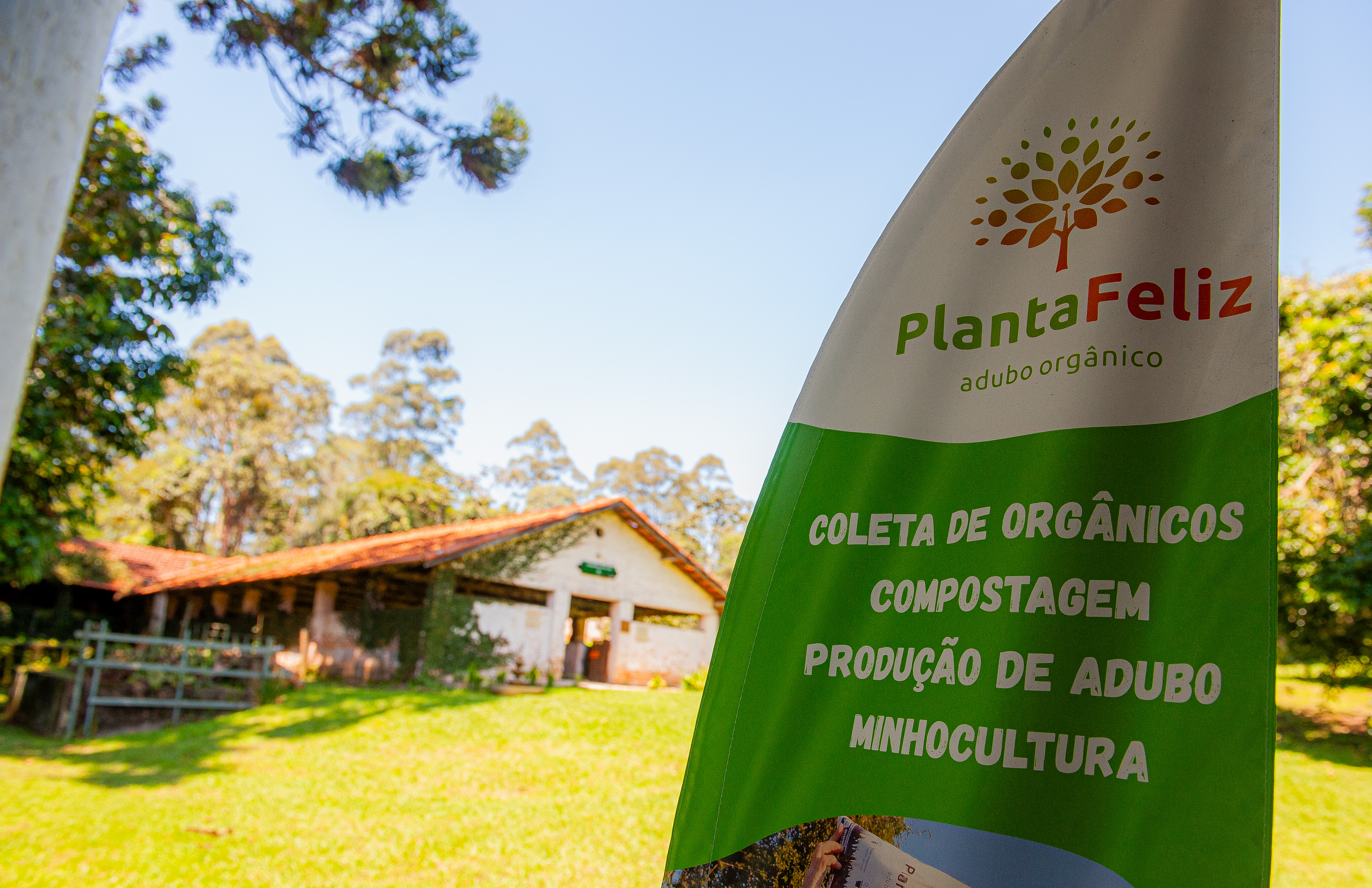 PlantaFeliz Veja 120324 Foto DanielDeak 0025